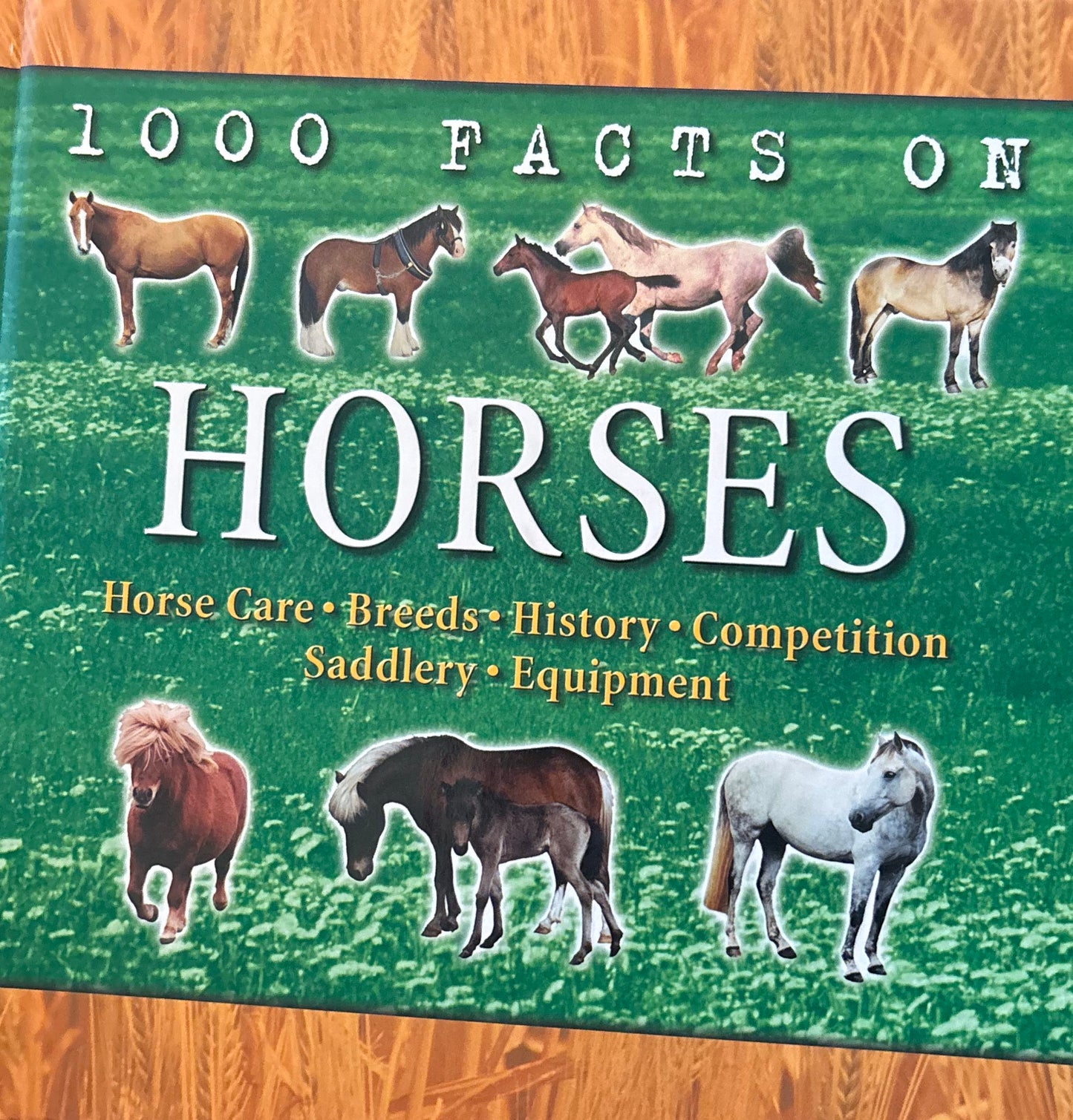 1000 Facts on Horses