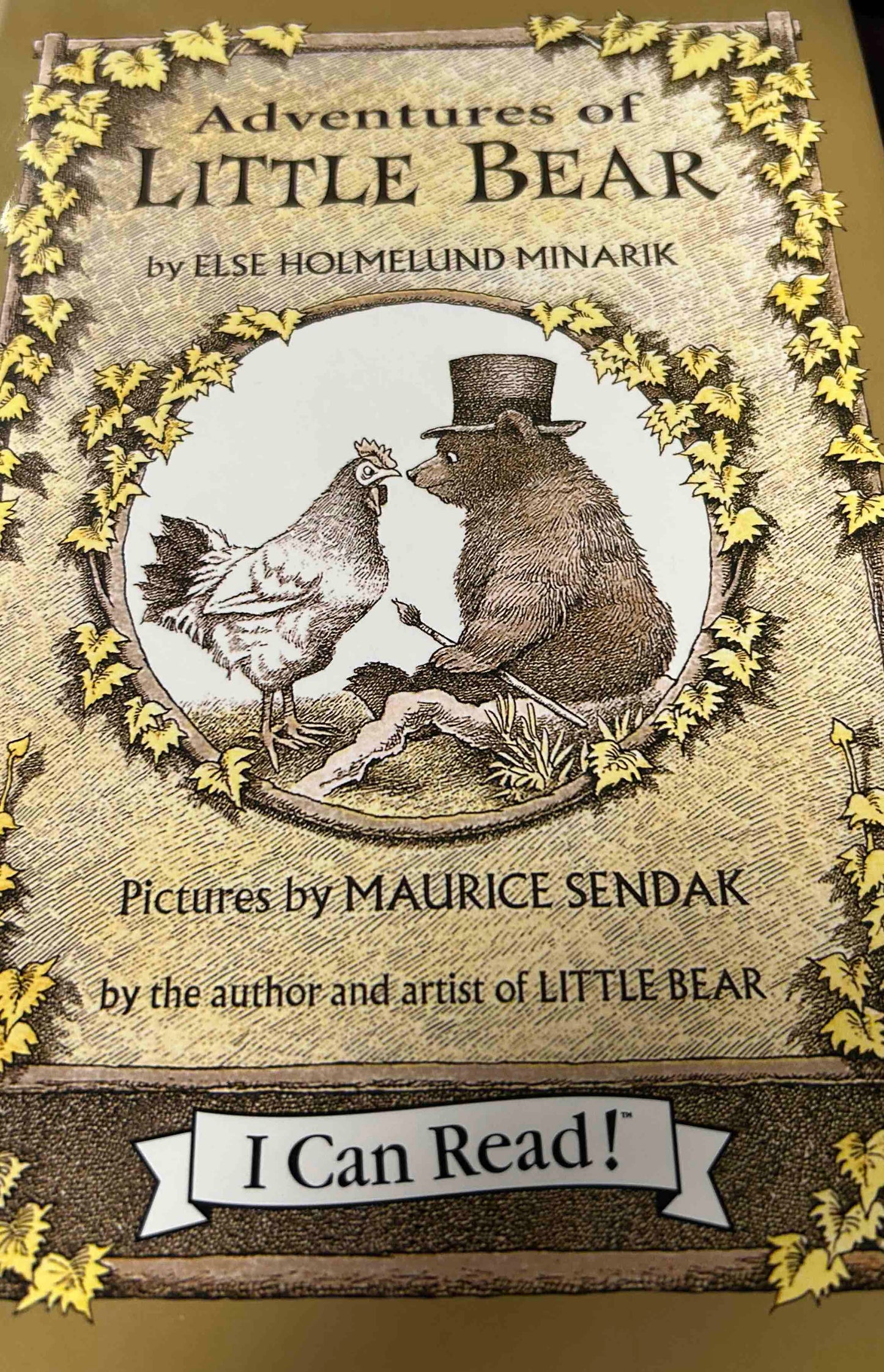 The Adventures of Little Bear