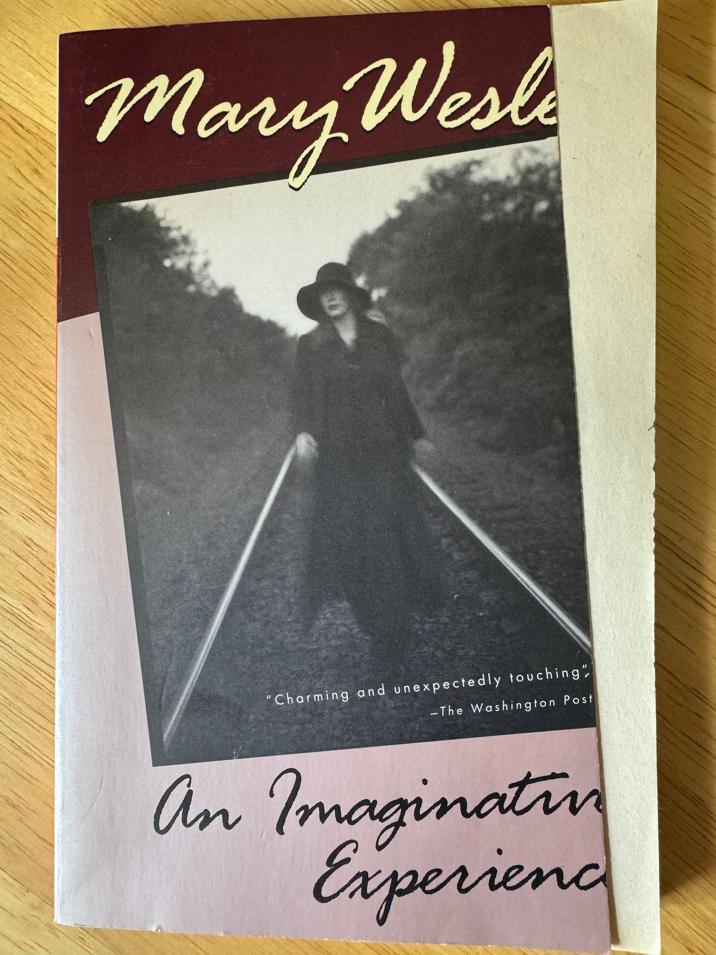 Imaginative Experience, AN