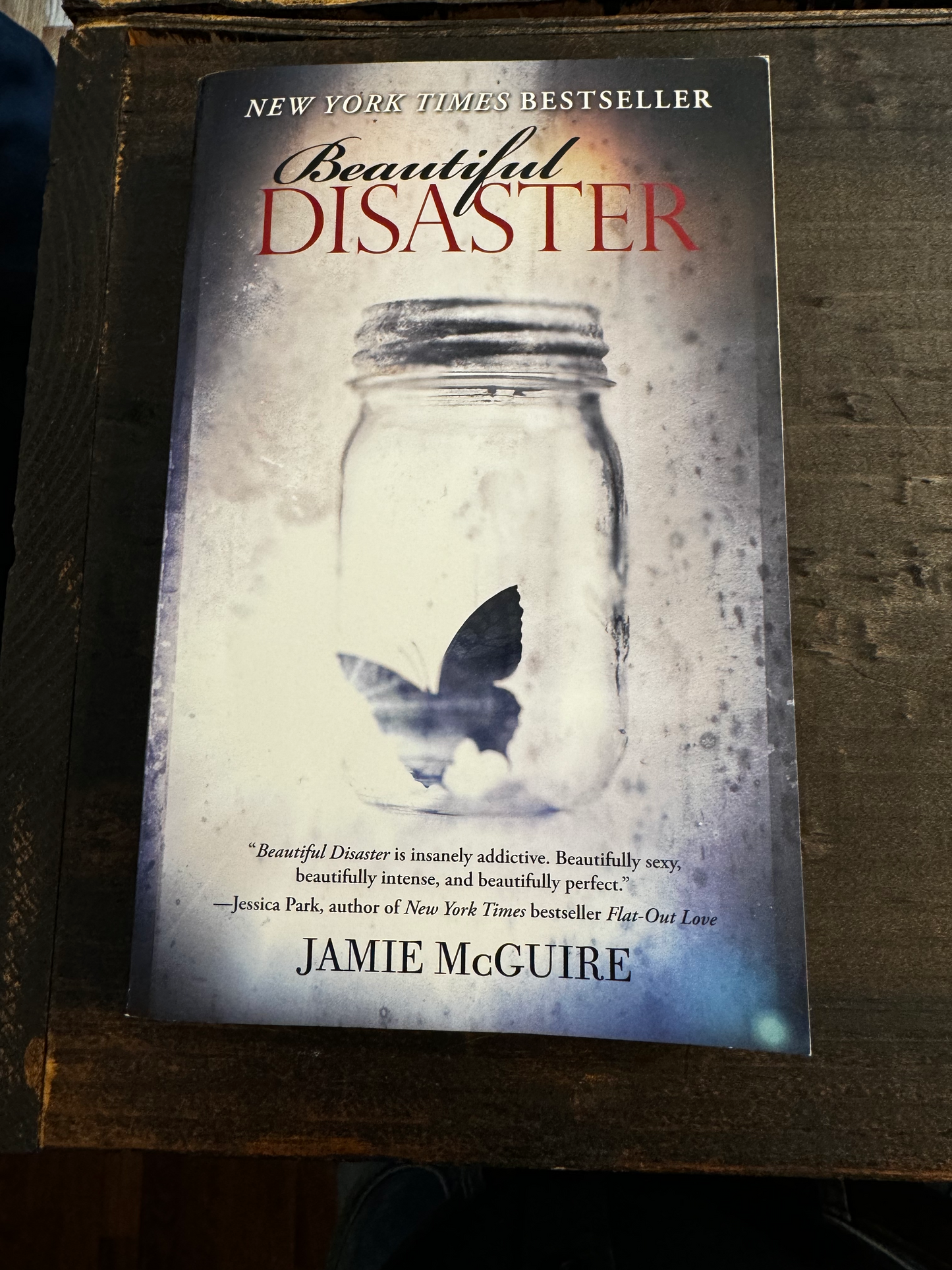 Beautiful Disaster: A Novel