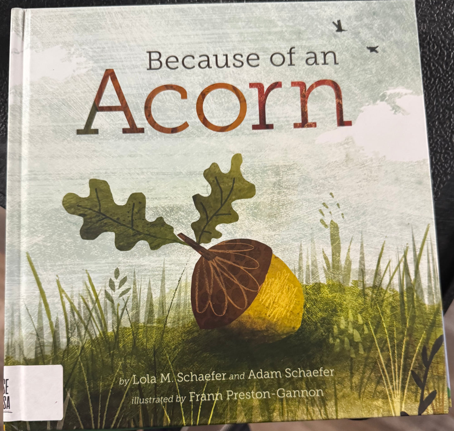 Because of an Acorn