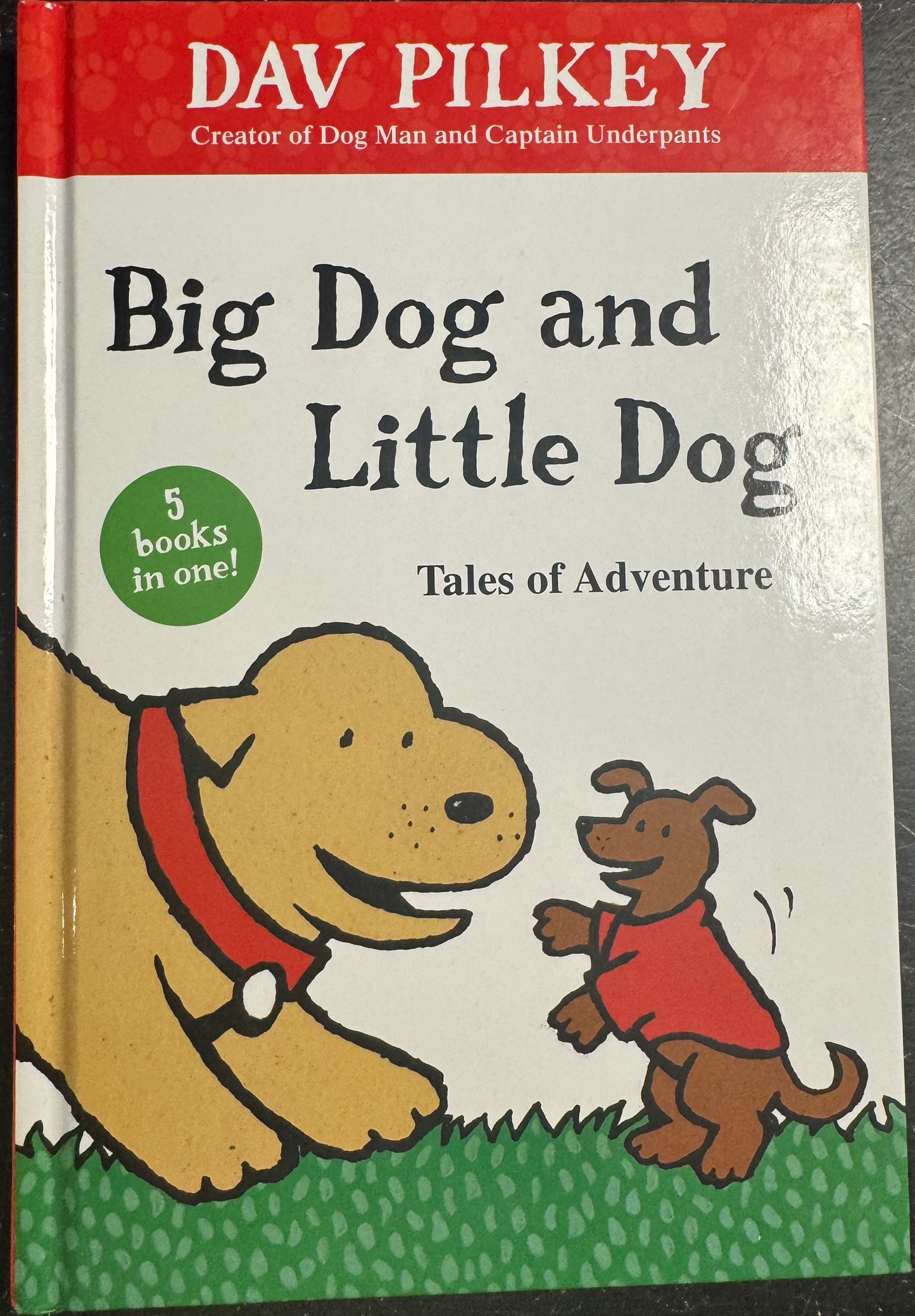 Big Dog and Little Dog Tales of Adventure
