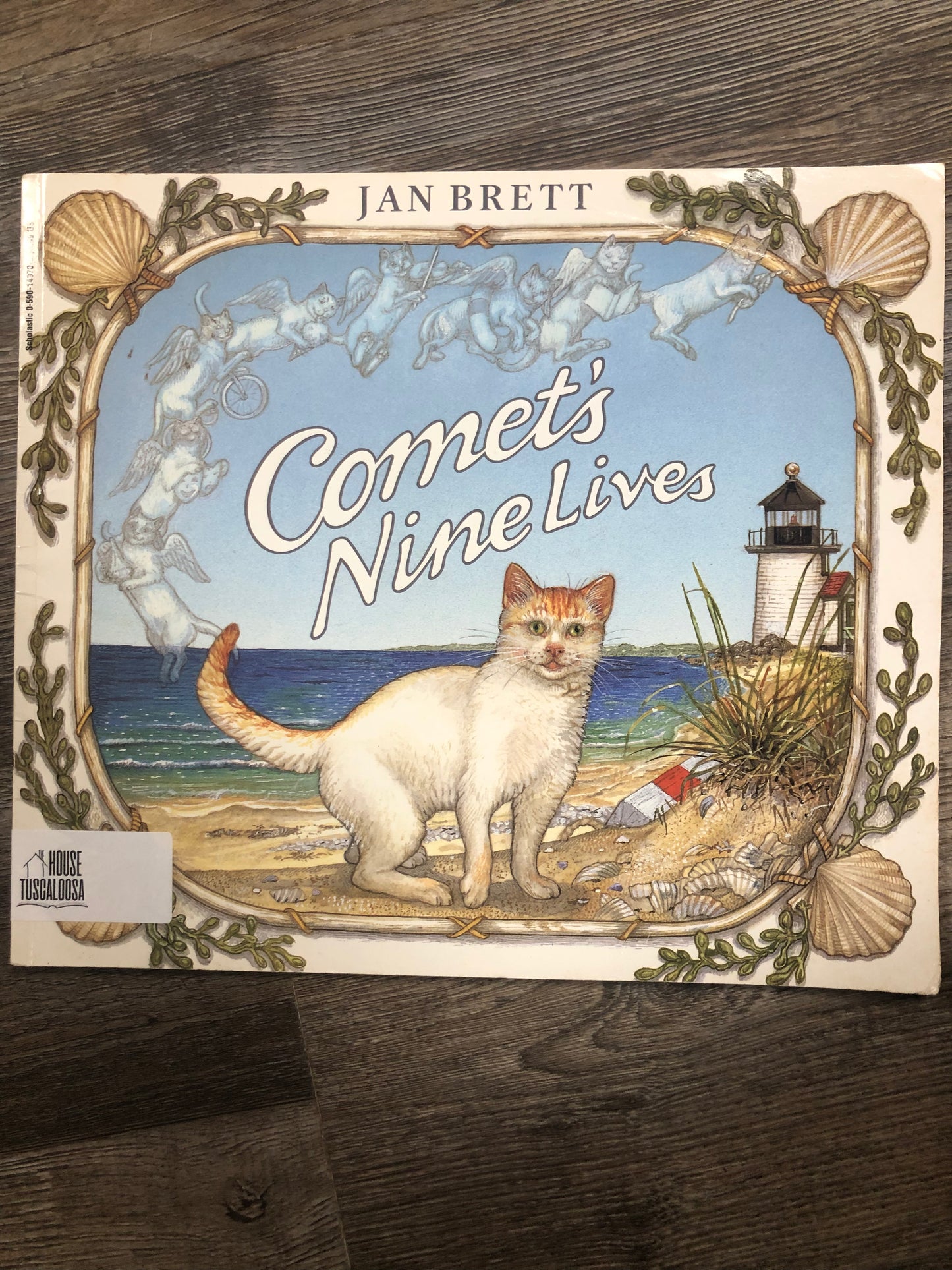 Comet's Nine Lives