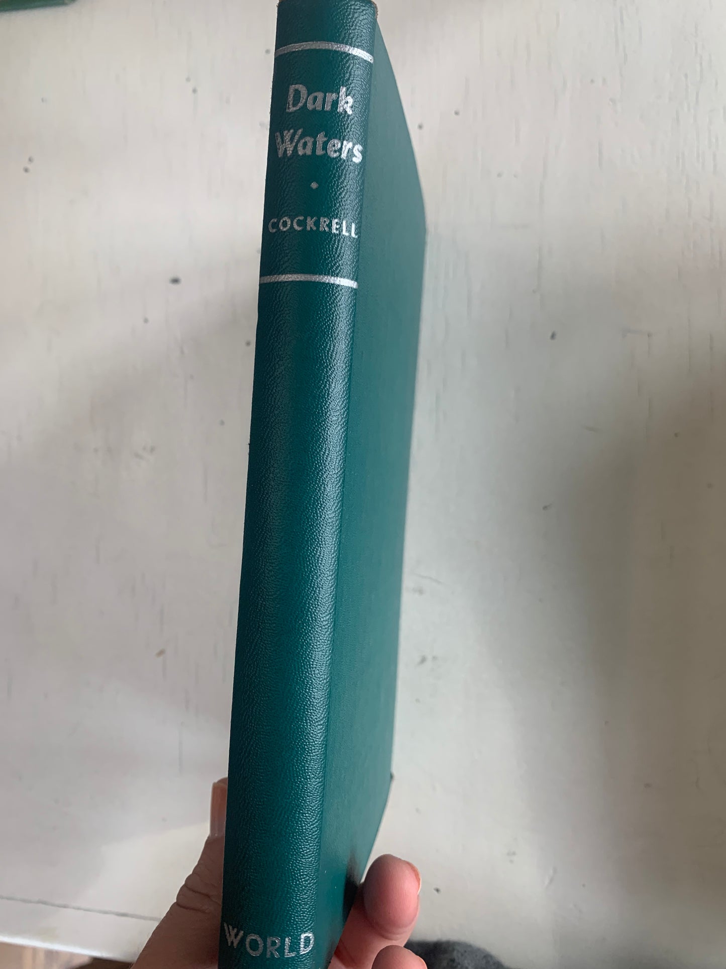 Dark Waters: A Mystery Novel