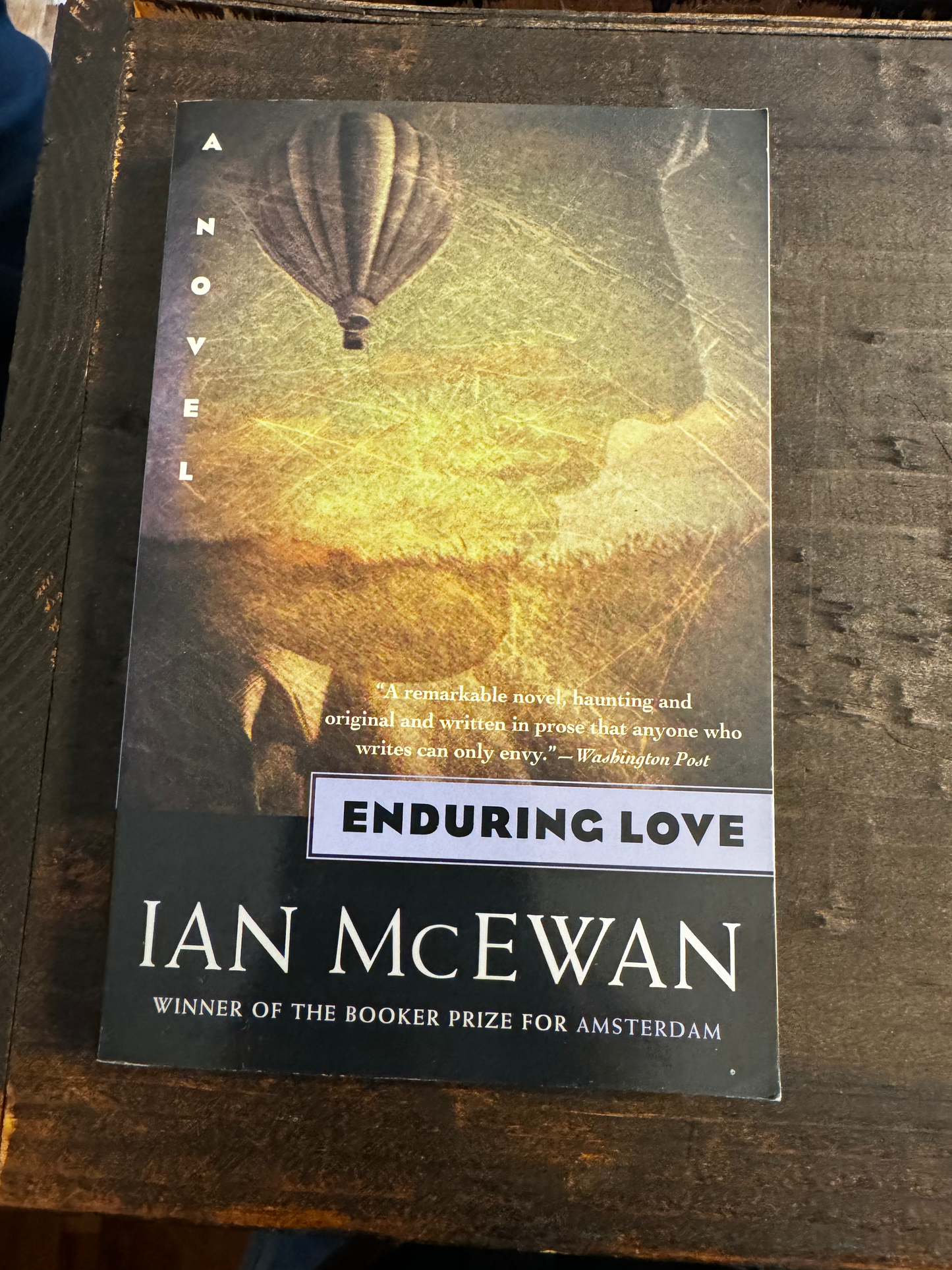 Enduring Love: A Novel