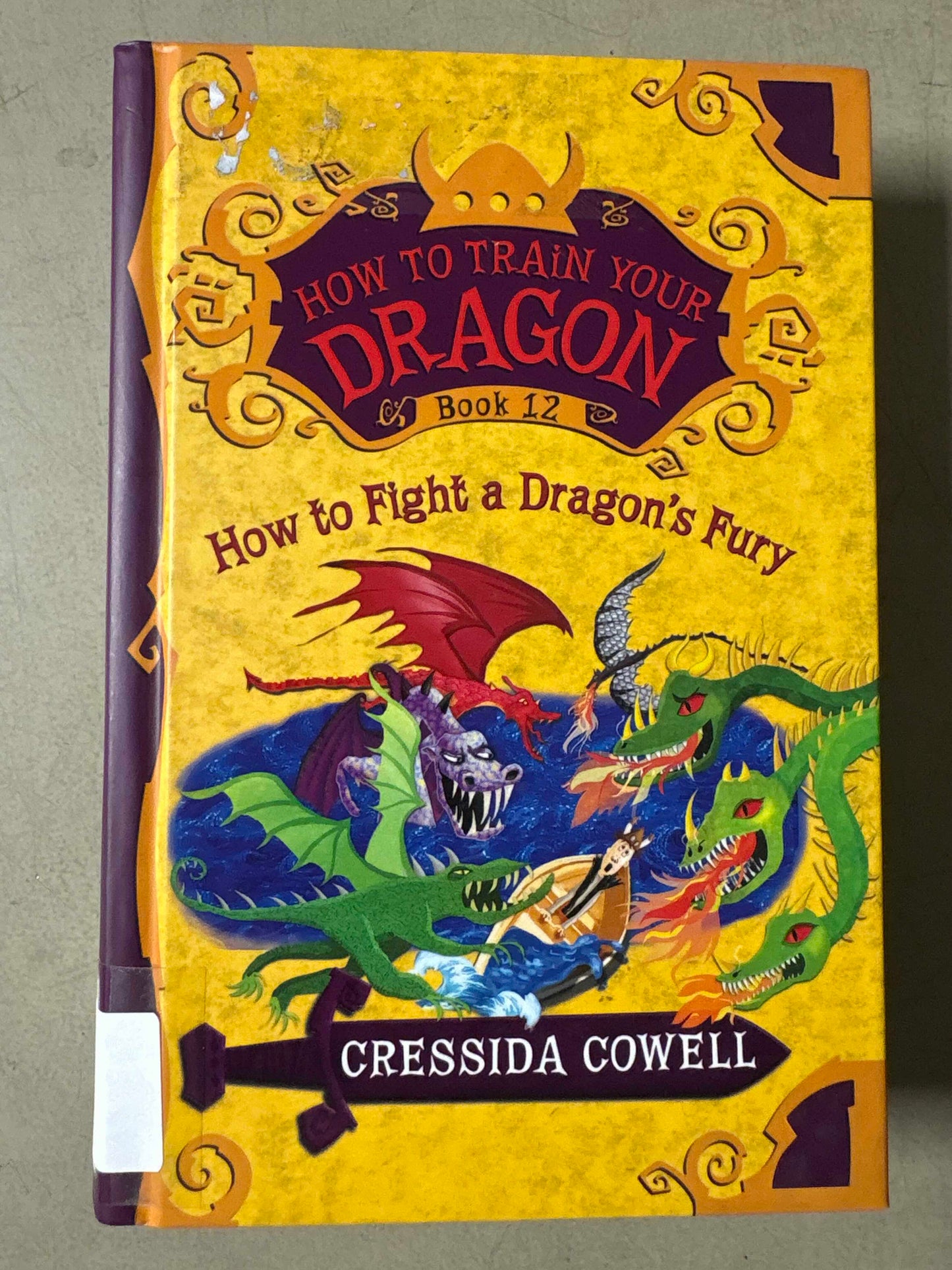 How to fight a dragons fury