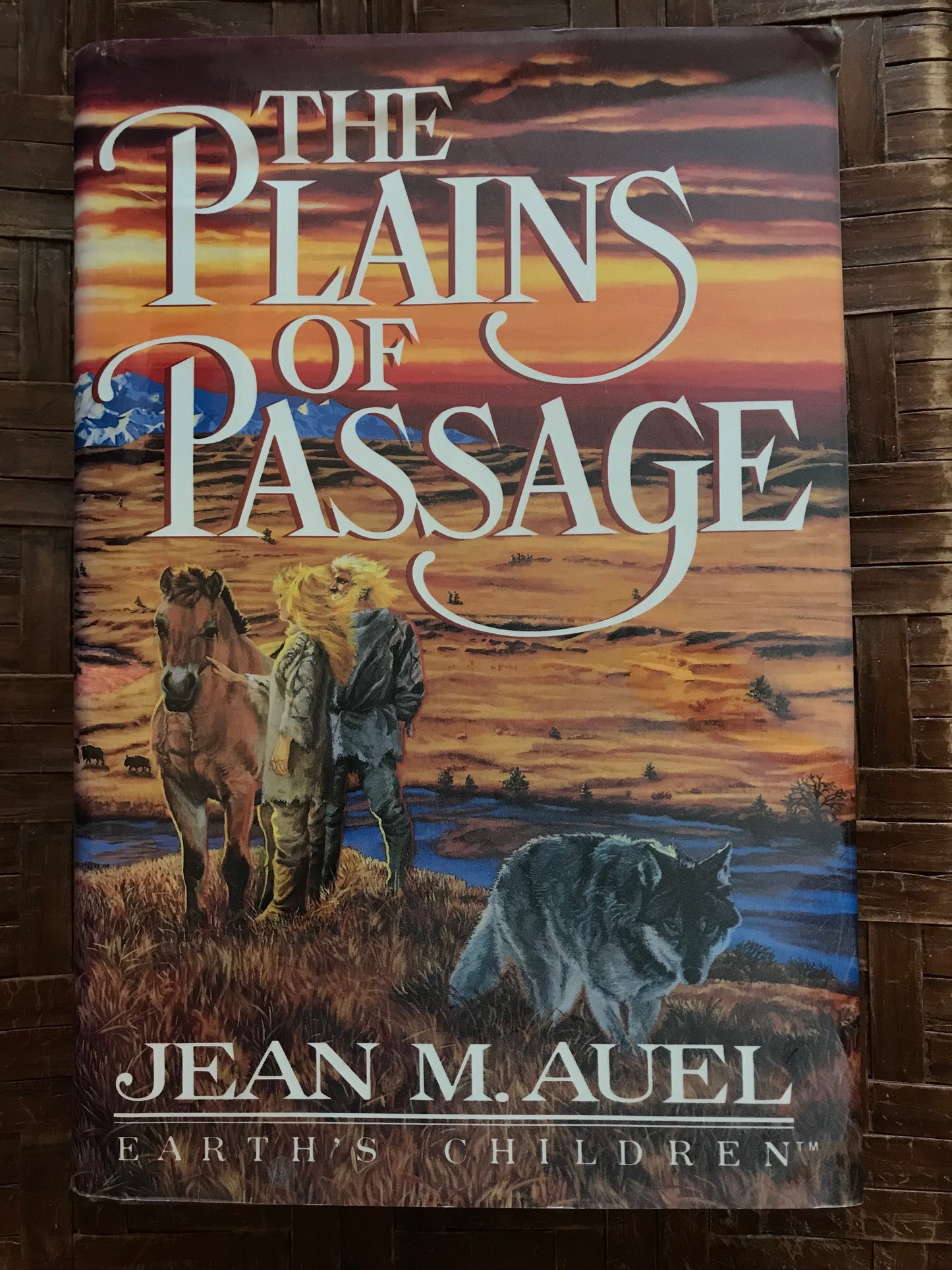 Plains Of Passage, The