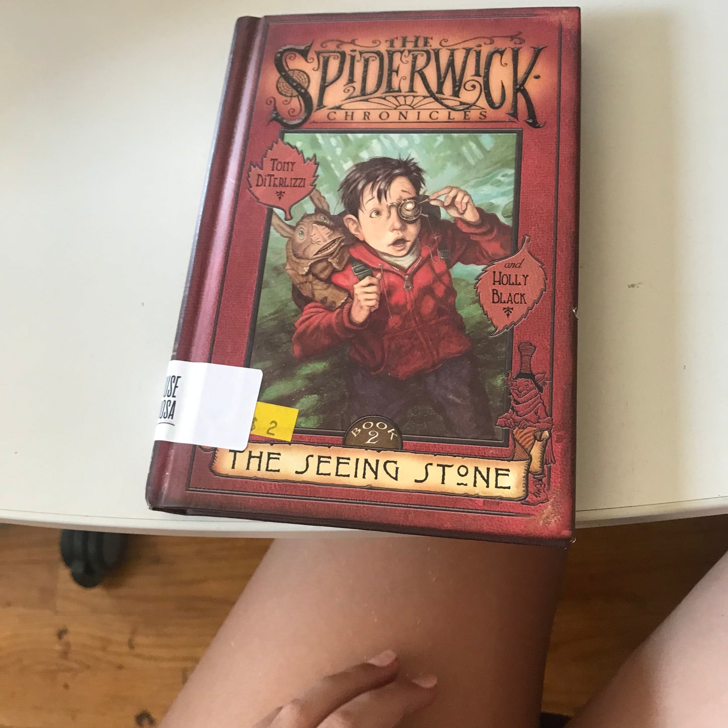 Seeing Stone (The Spiderwick Chronicles #2), The