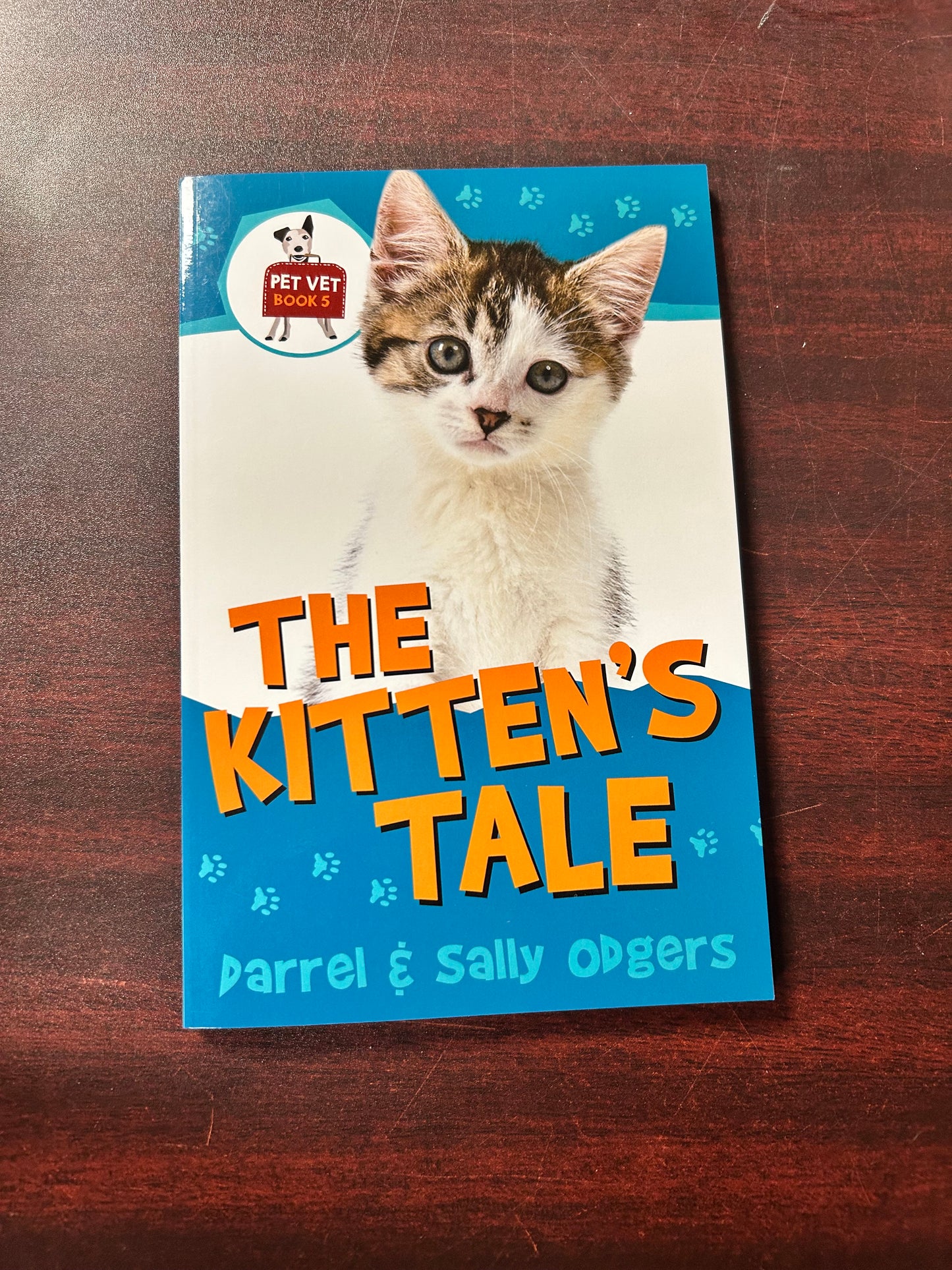 The Kitten's Tale