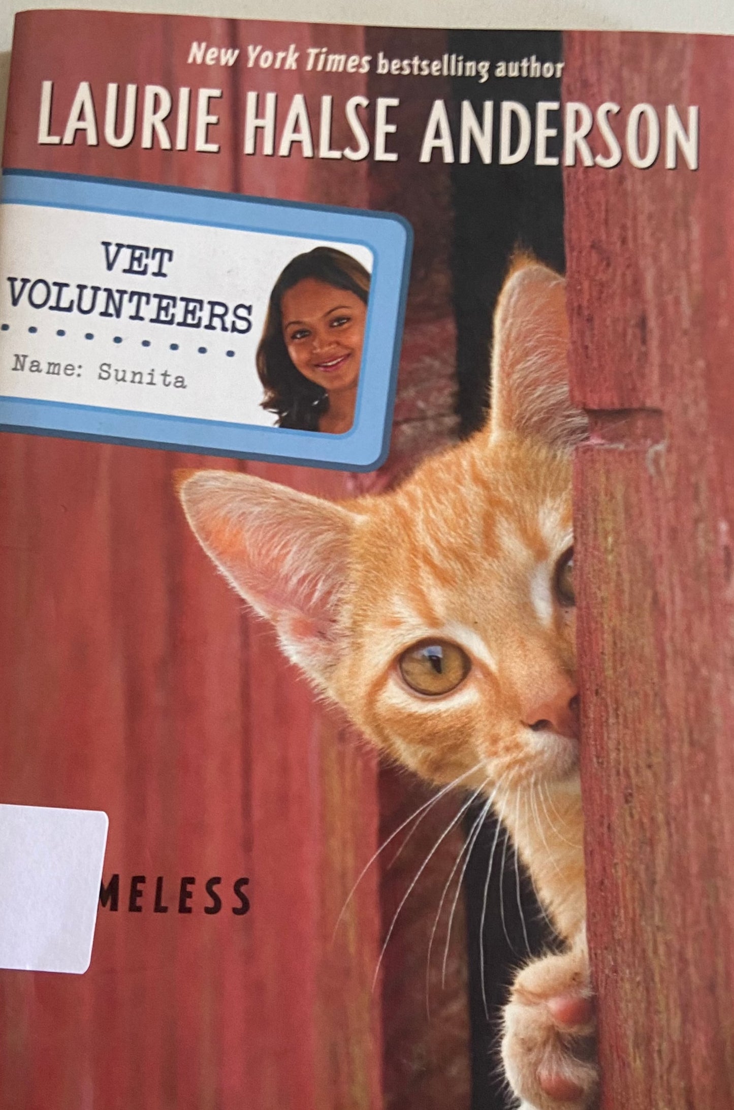 Vet Volunteers Homeless