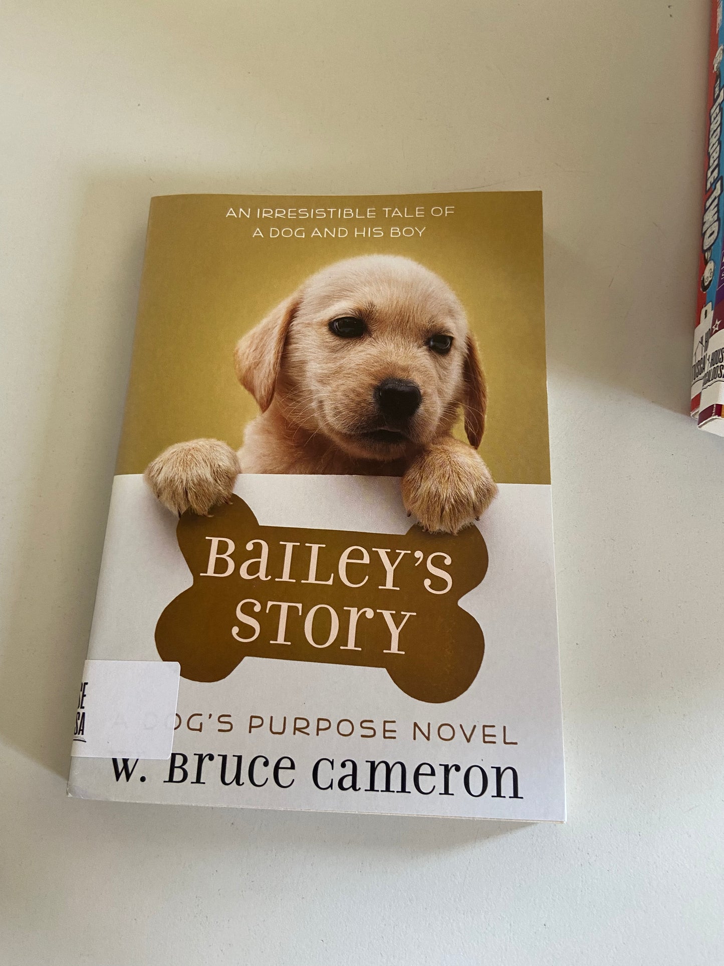 Bailey's Story