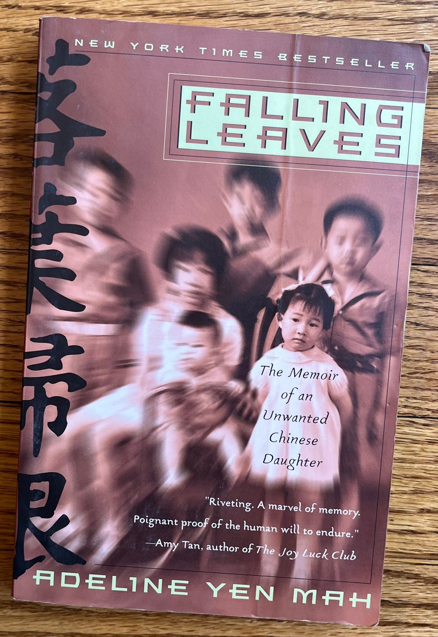 Falling Leaves: The Memoir of an Unwanted Chinese Daughter