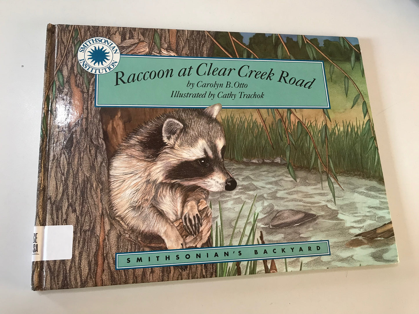 Raccoon at Clear Creek Road - a Smithsonian's Backyard Book
