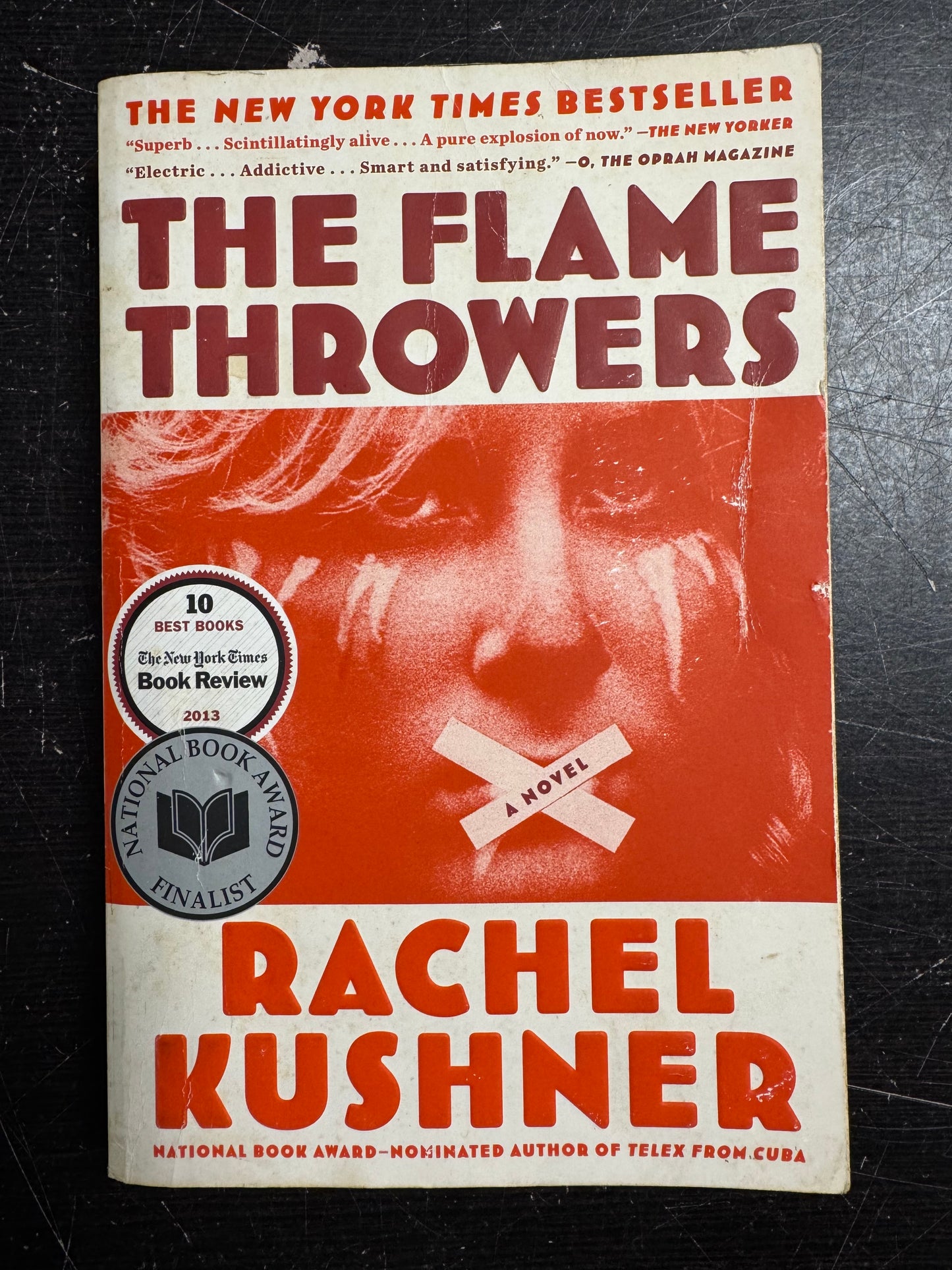 Flamethrowers: A Novel, The