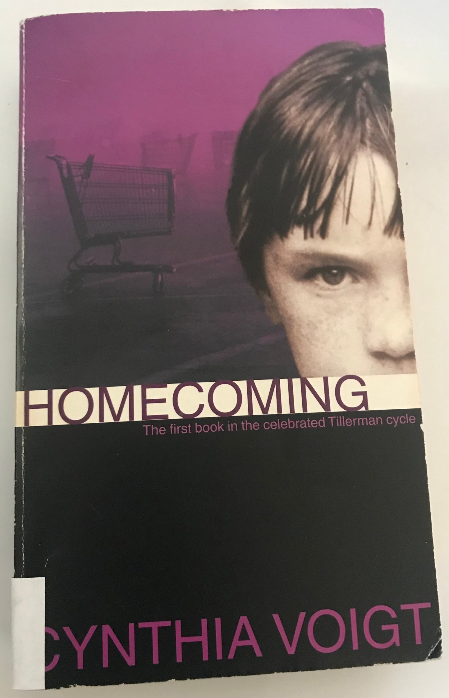 Homecoming (The Tillerman Series #1)
