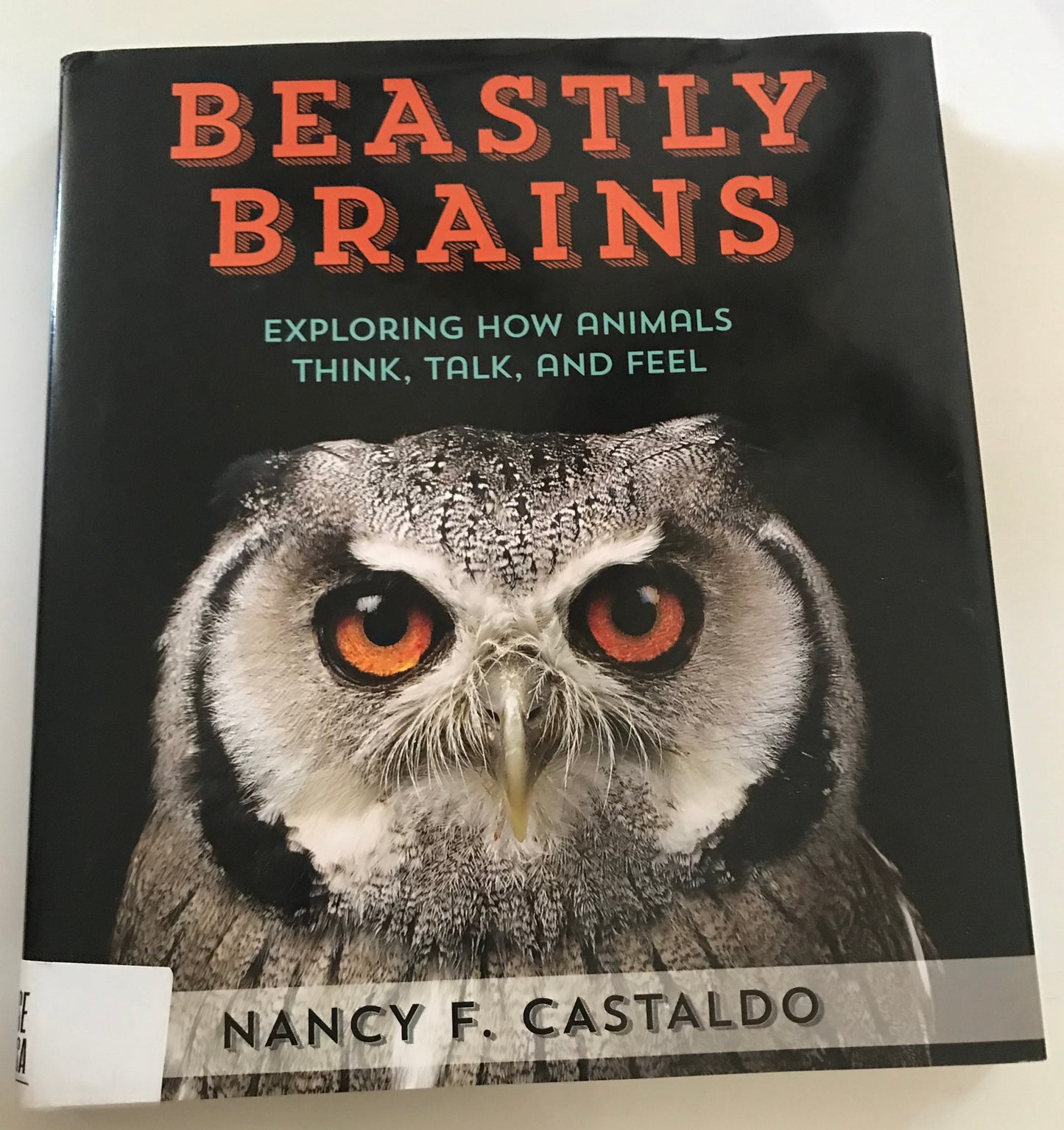 Beastly Brains: Exploring How Animals Think, Talk, and Feel