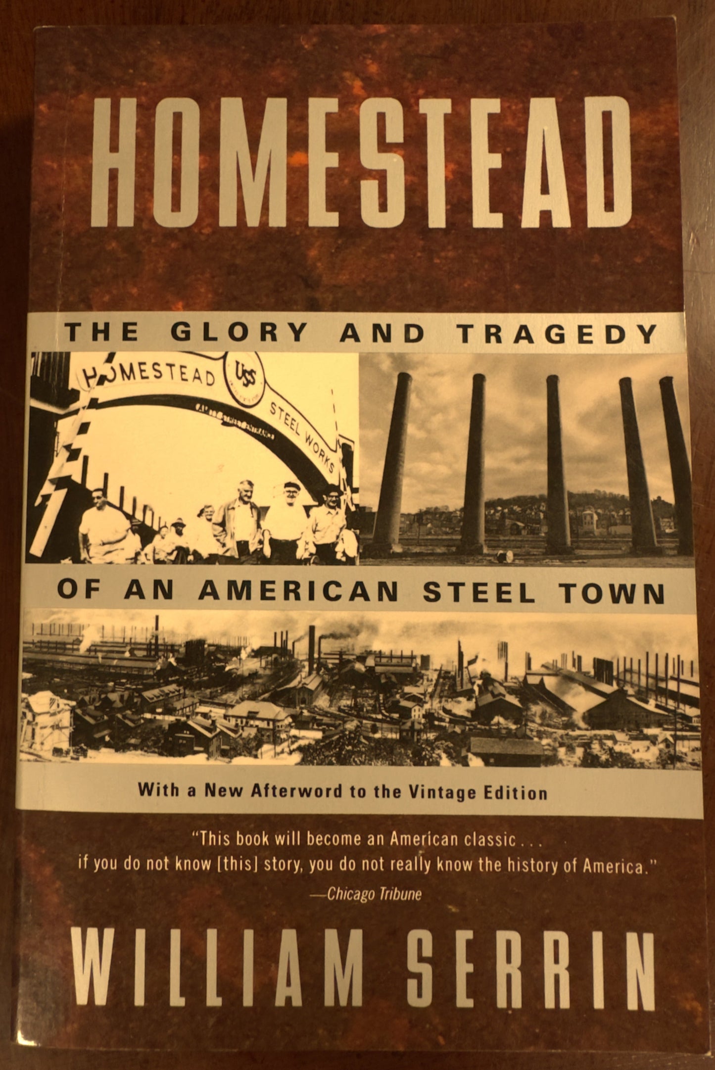 Homestead: The Glory and Tragedy of an American Steel Town