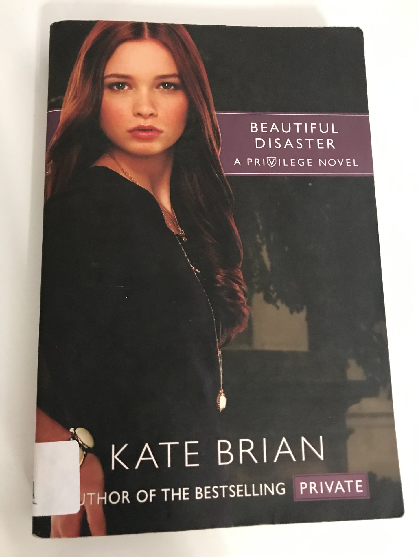 Beautiful Disaster (Privilege)