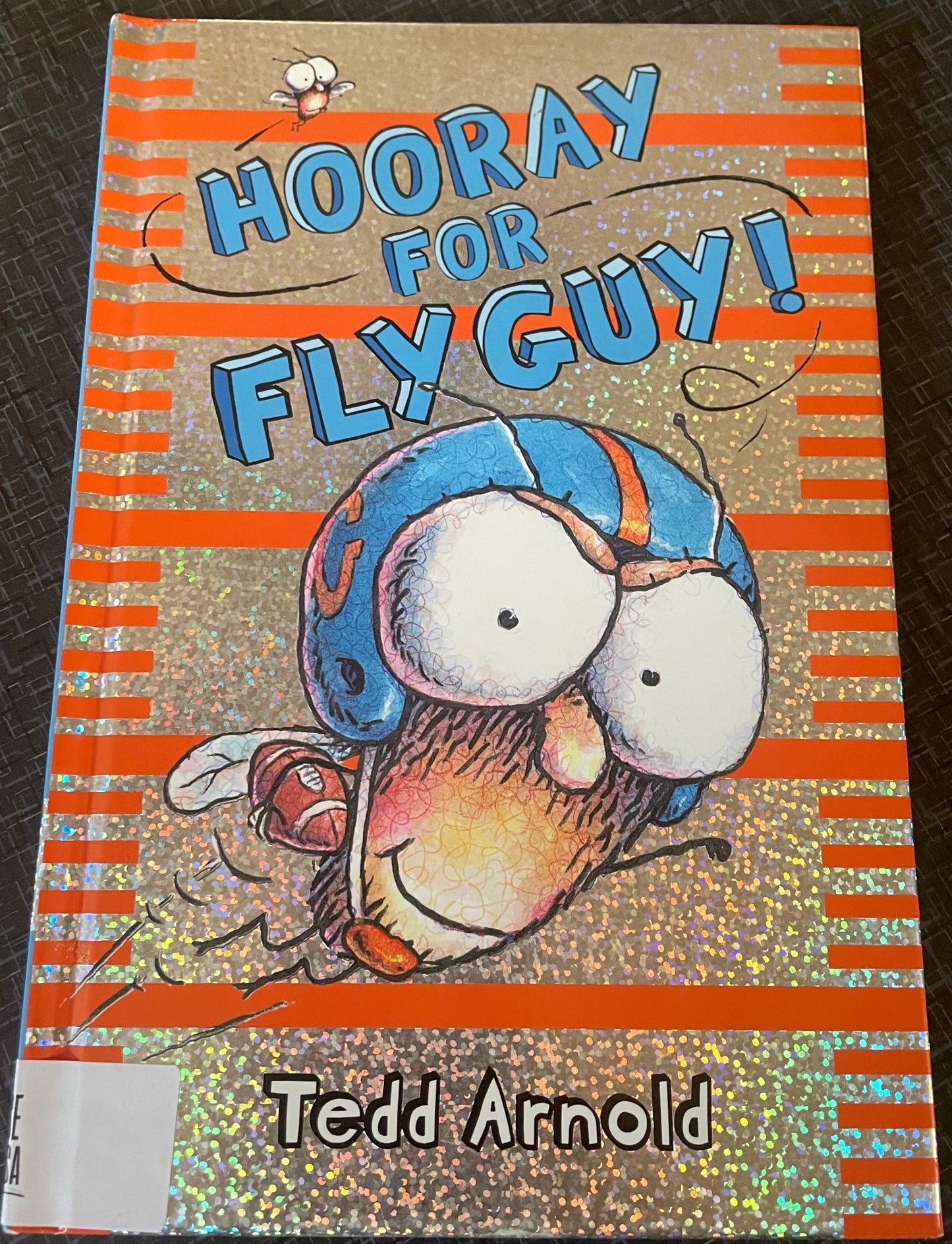 Fly Guy #6: Hooray for Fly Guy!