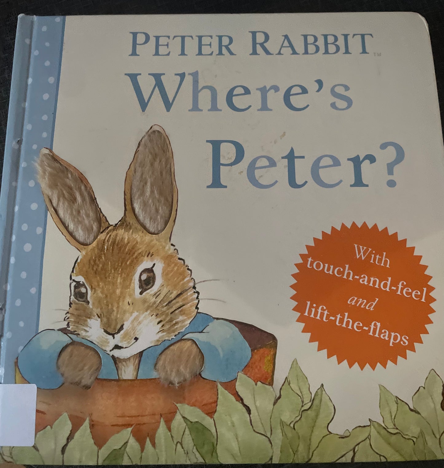 Where's Peter? (Peter Rabbit)