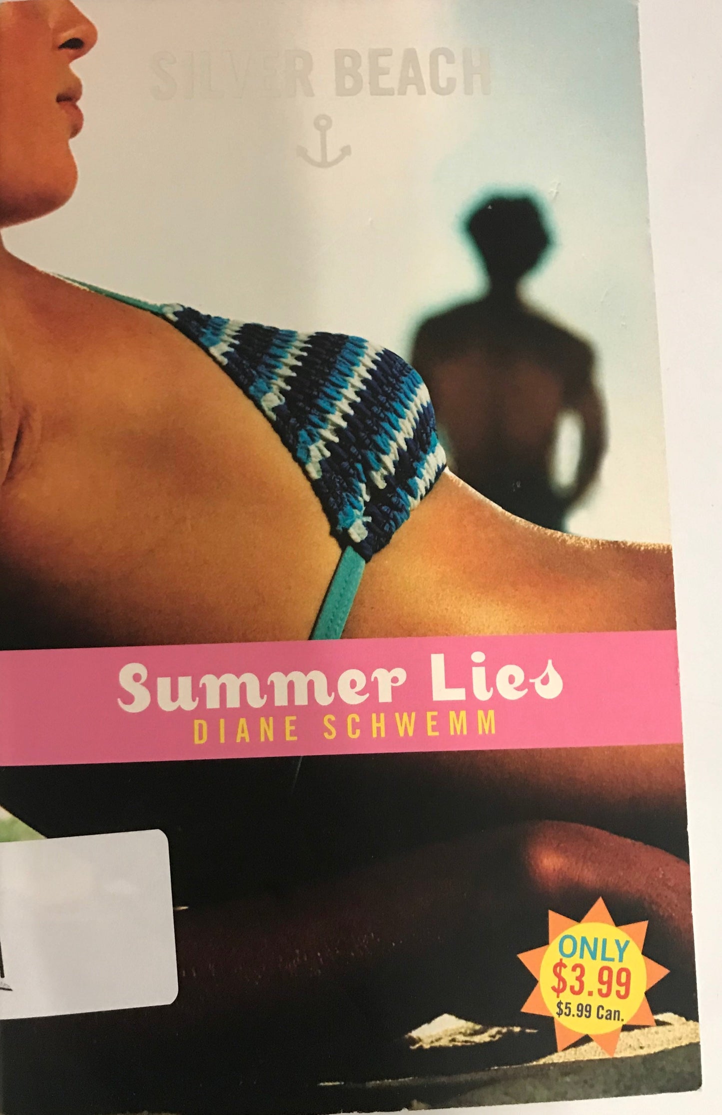 Summer Lies (Silver Beach)