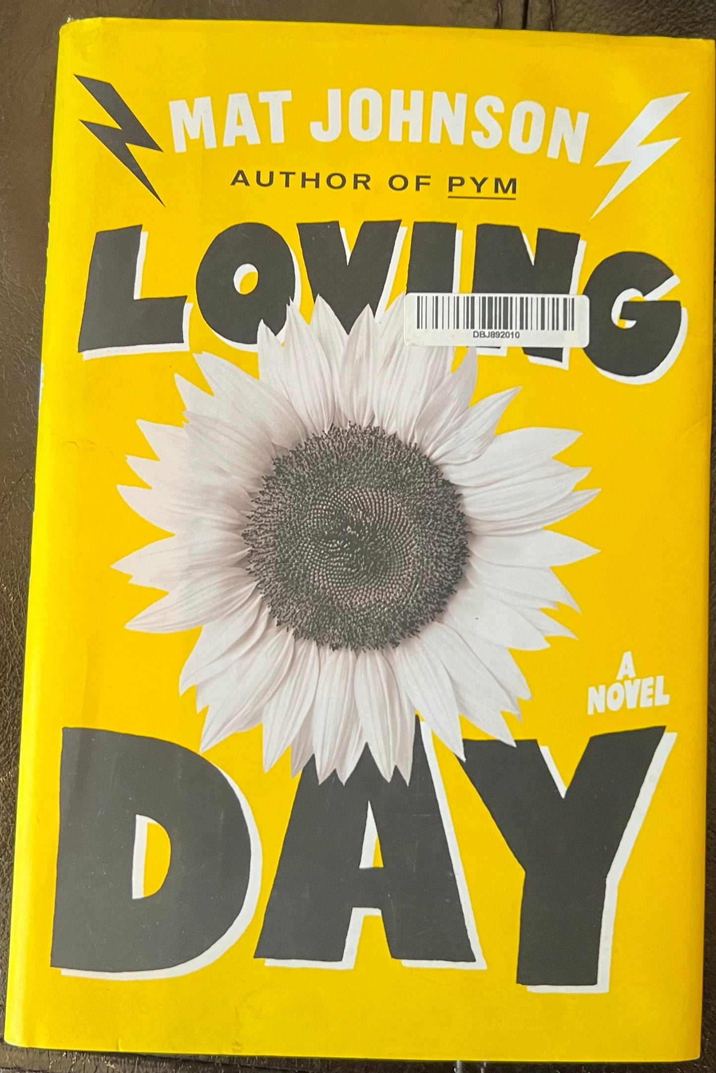Loving Day: A Novel