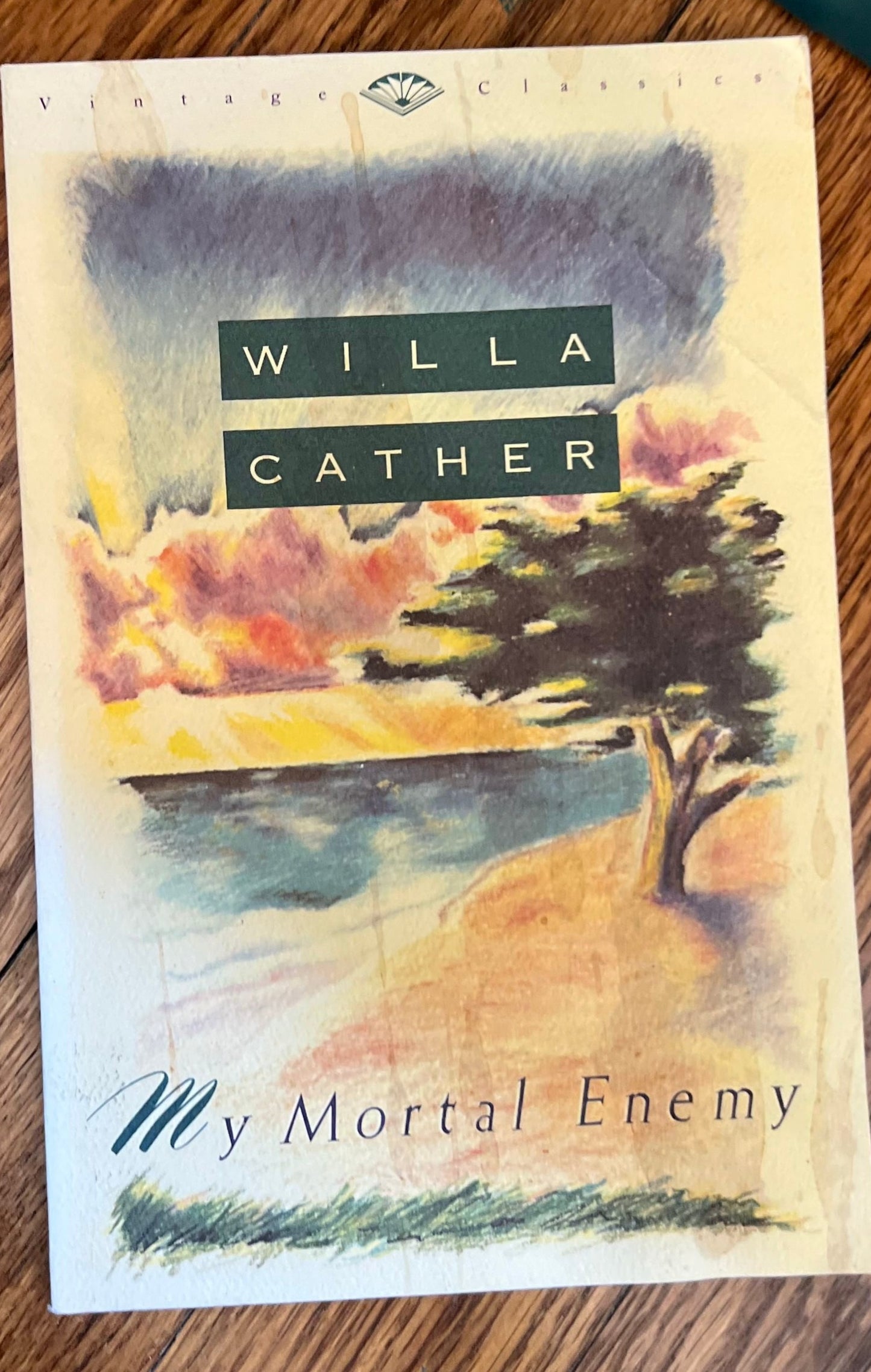 My Mortal Enemy (Vintage Classics)