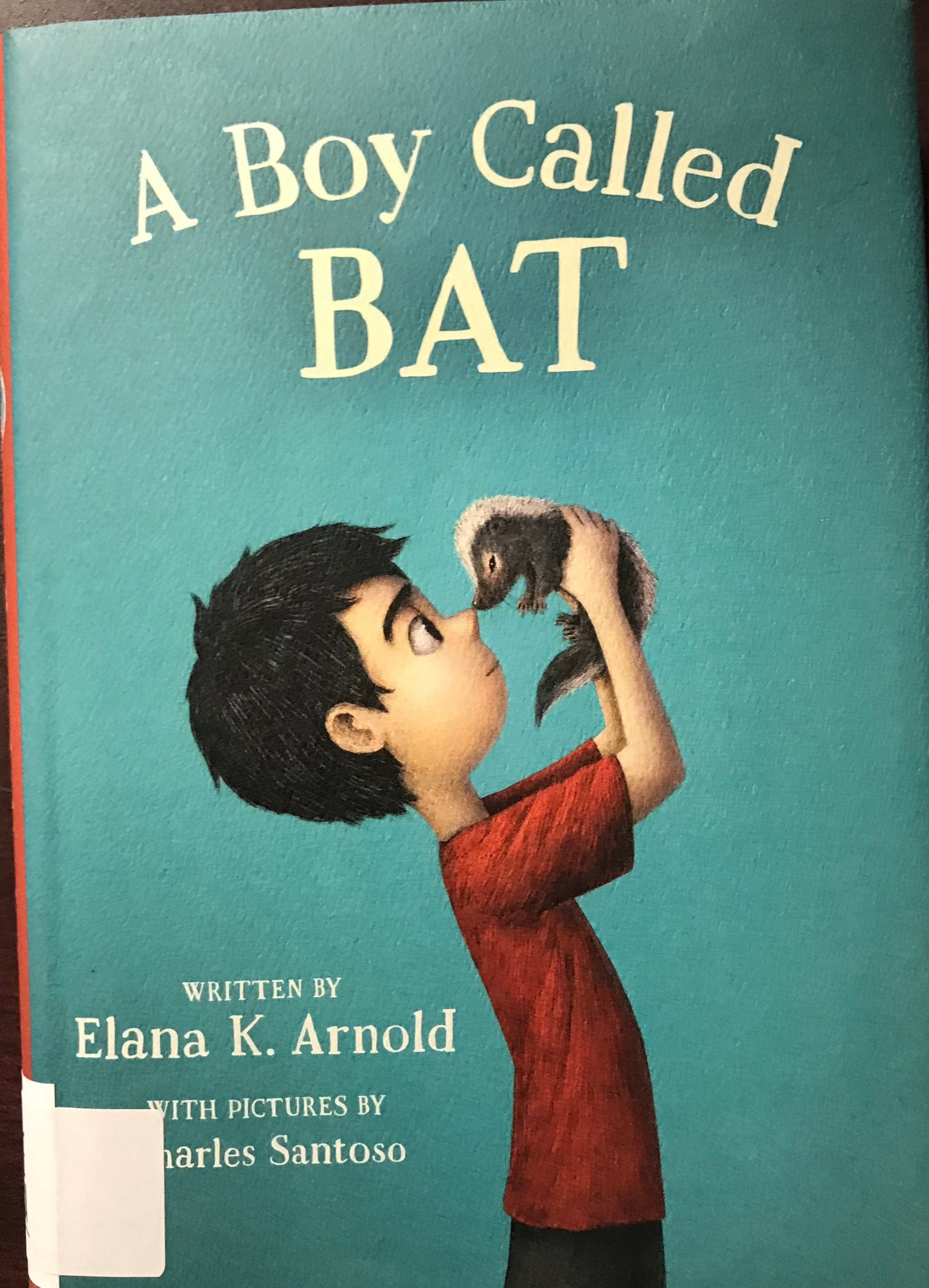 Boy Called Bat, A