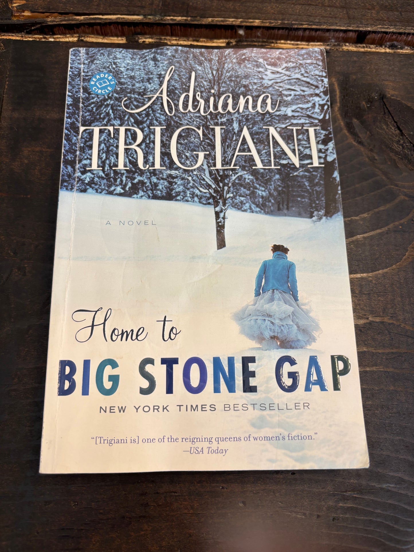 Home to Big Stone Gap: A Novel (Big Stone Gap Novels)