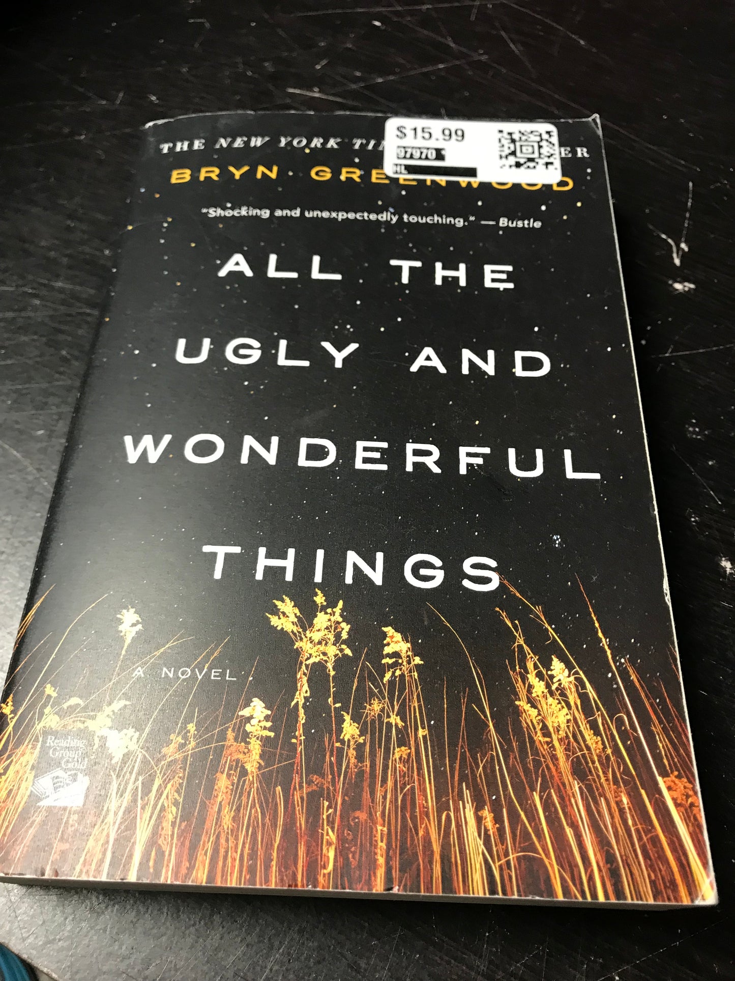 All the Ugly and Wonderful Things: A Novel