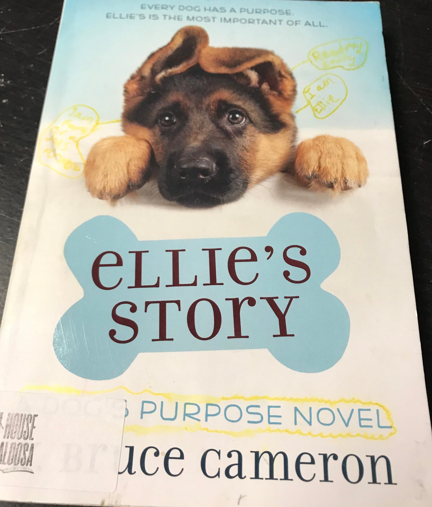 Ellie's Story