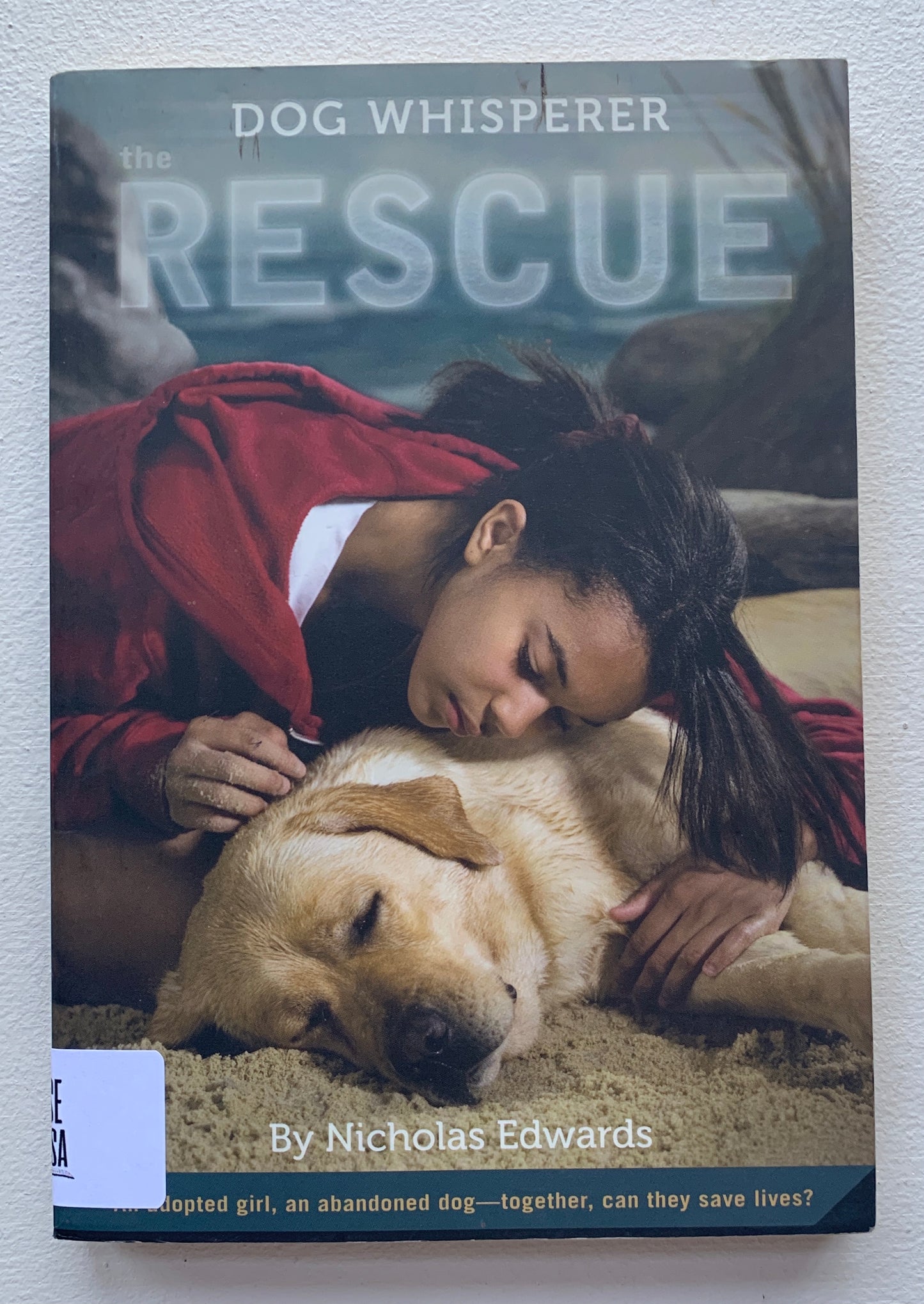 Rescue (Dog Whisperer), The