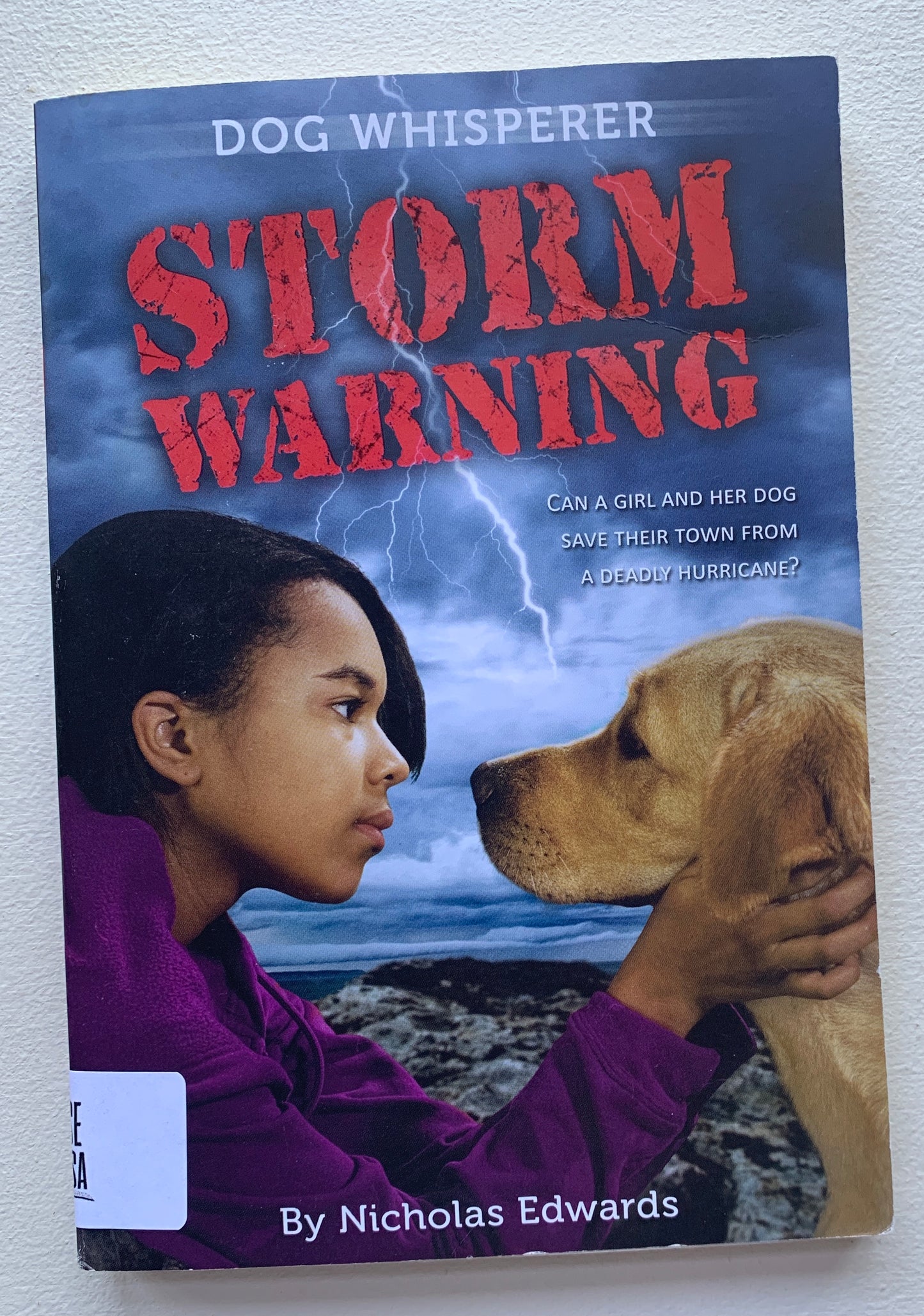 Dog Whisperer: Storm Warning