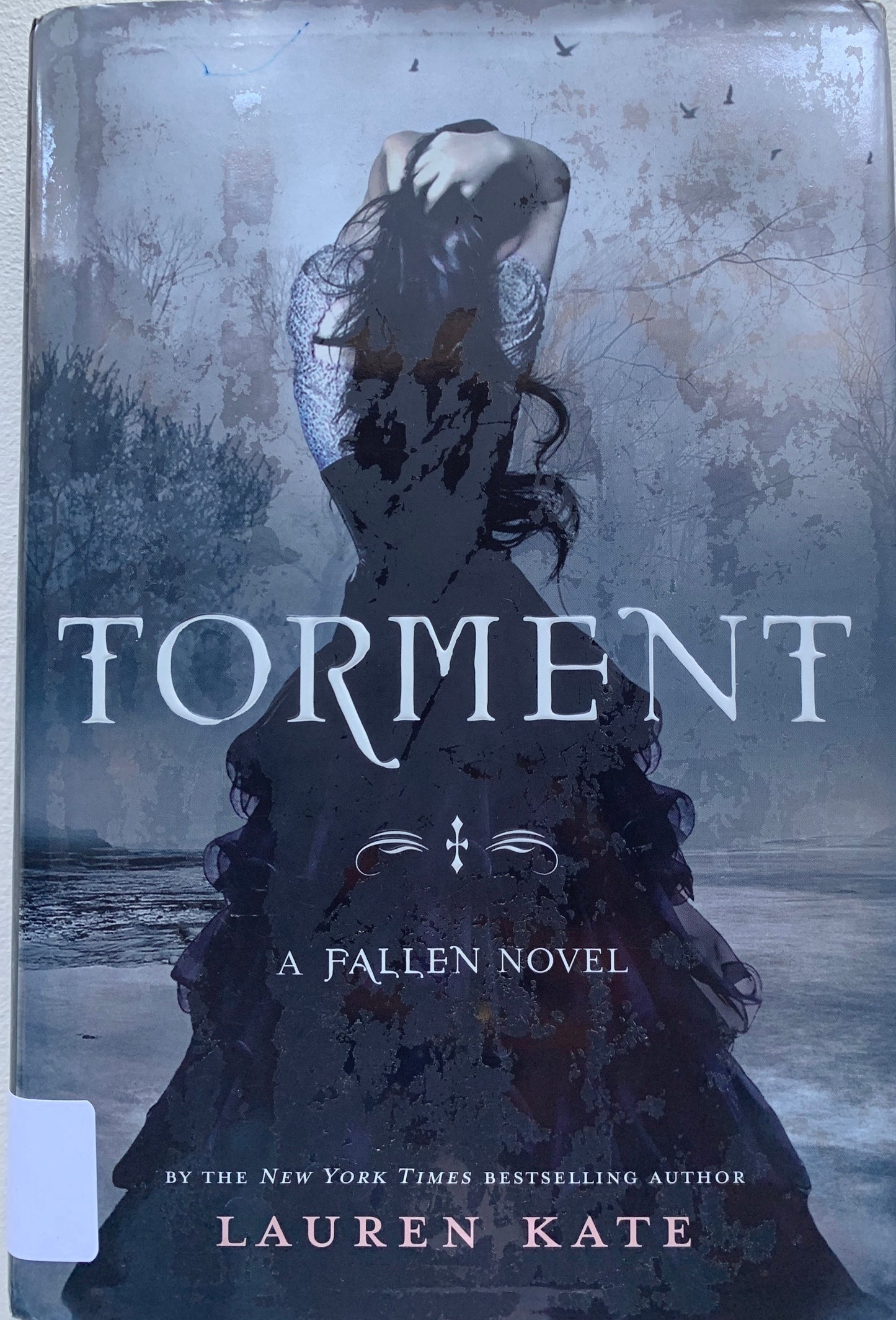 Torment (Fallen, Book 2)