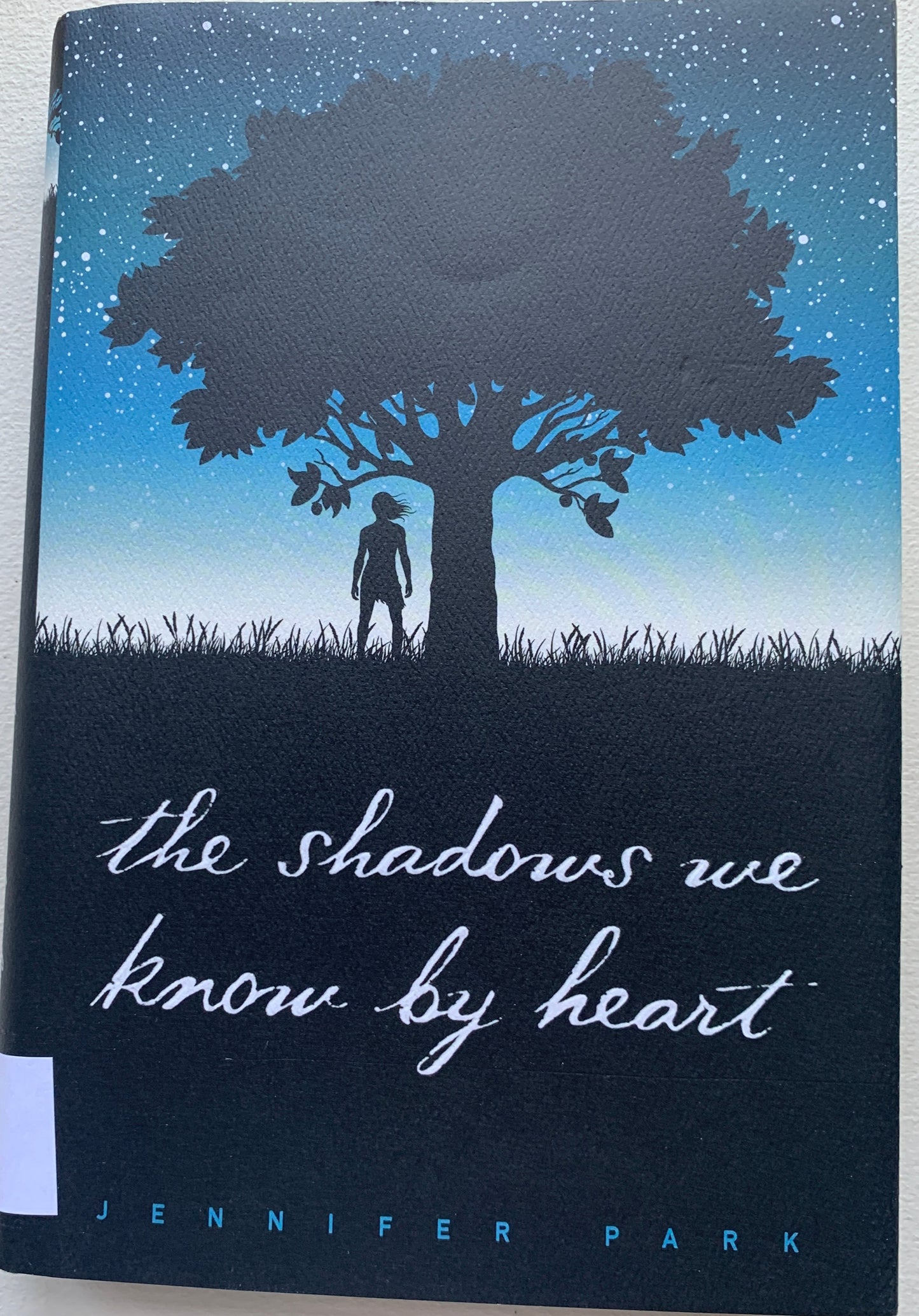 Shadows We Know by Heart, The