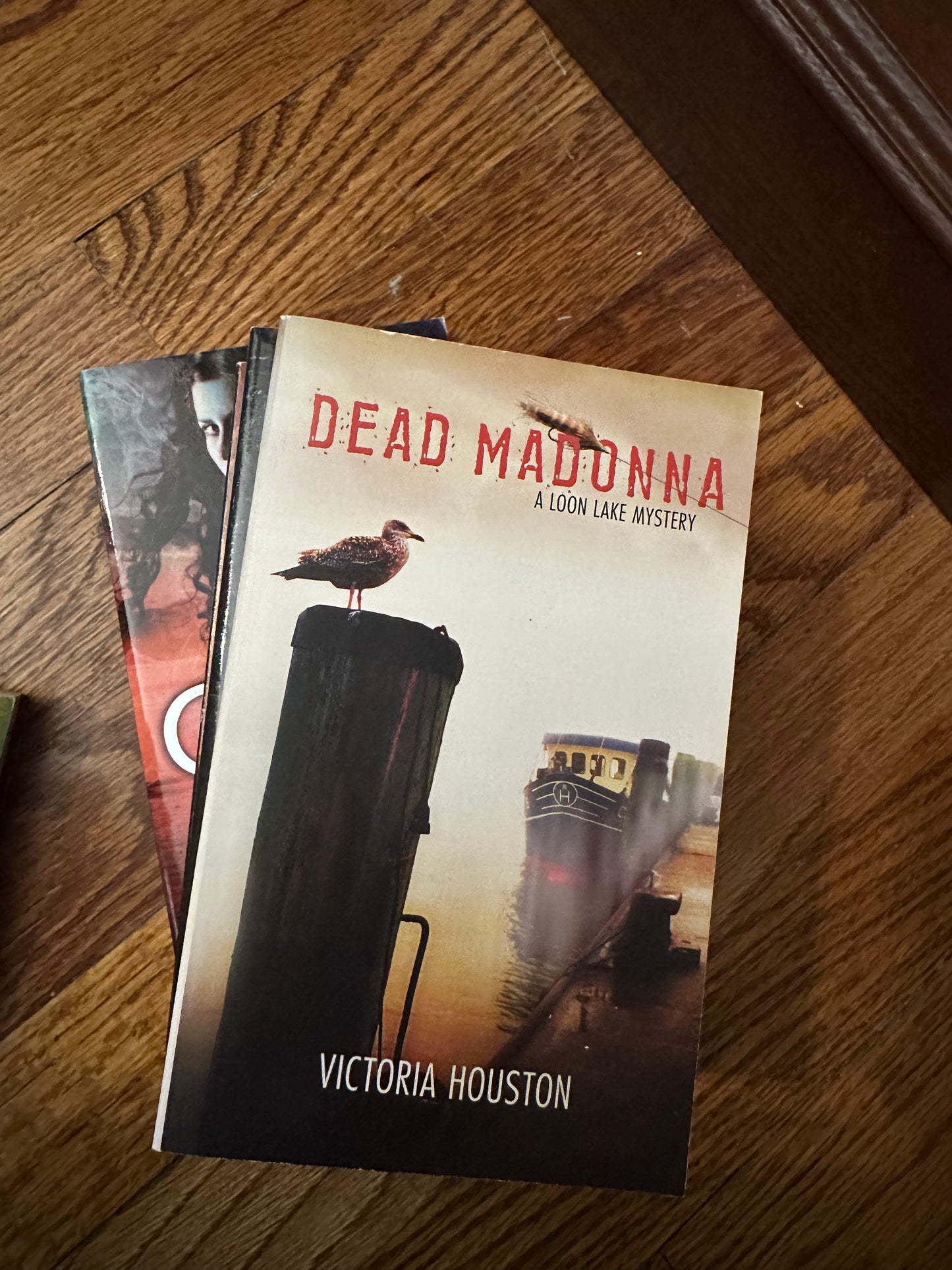 Dead Madonna (Loon Lake Fishing Mystery, Book 8)