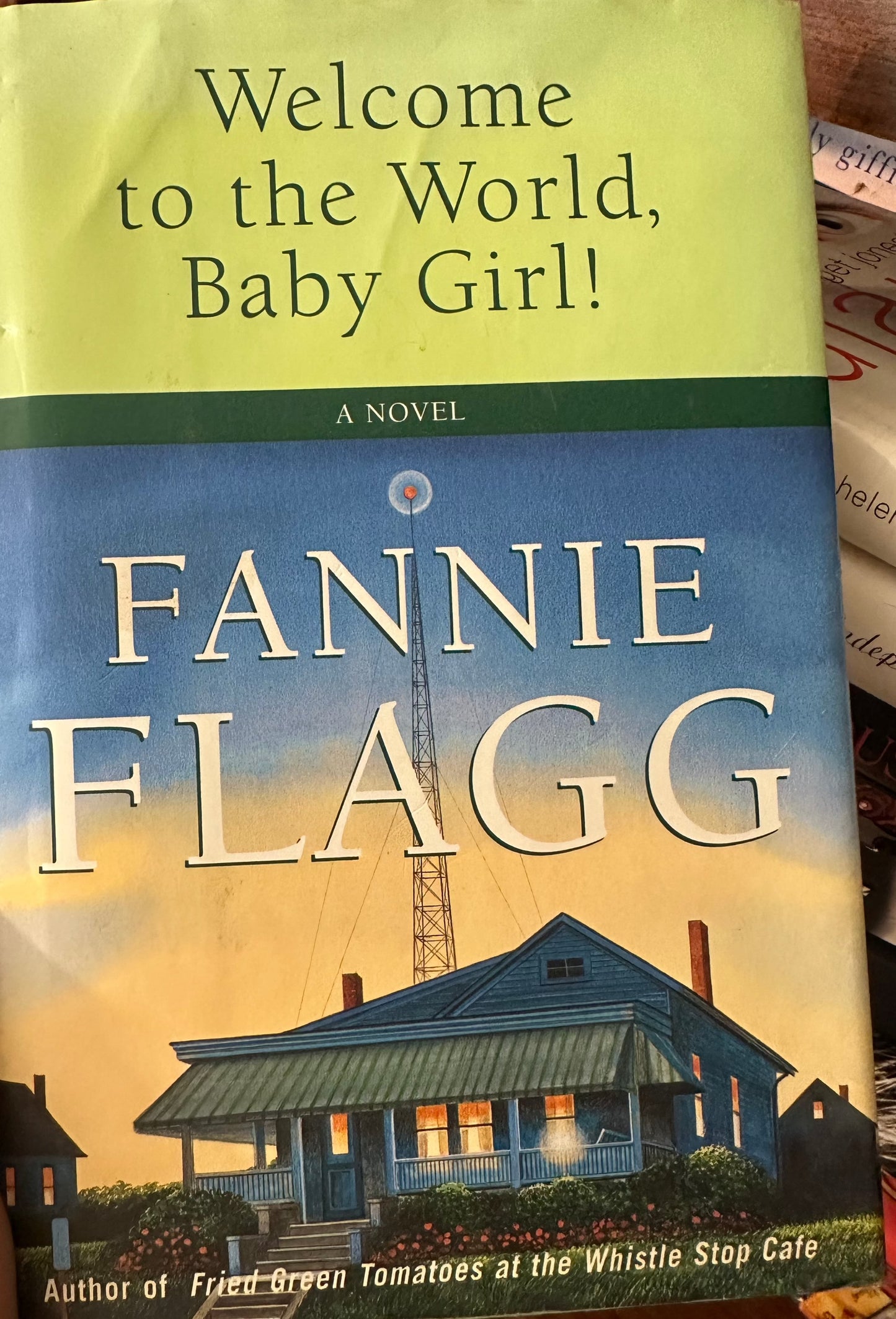 Welcome to the World, Baby Girl!: A Novel