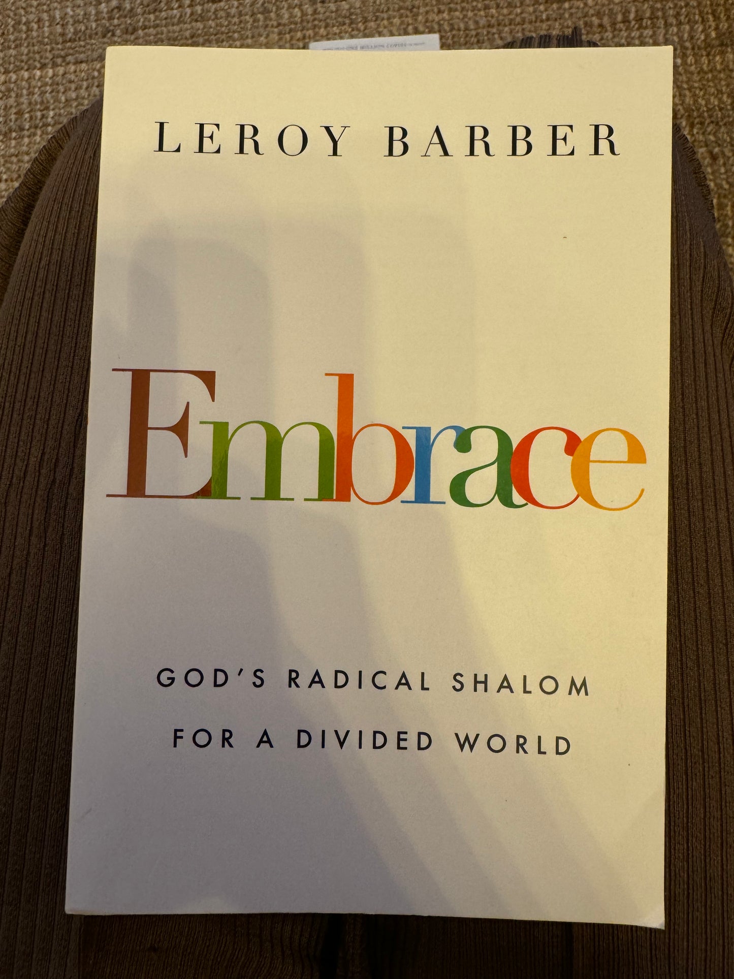 Embrace: God's Radical Shalom for a Divided World