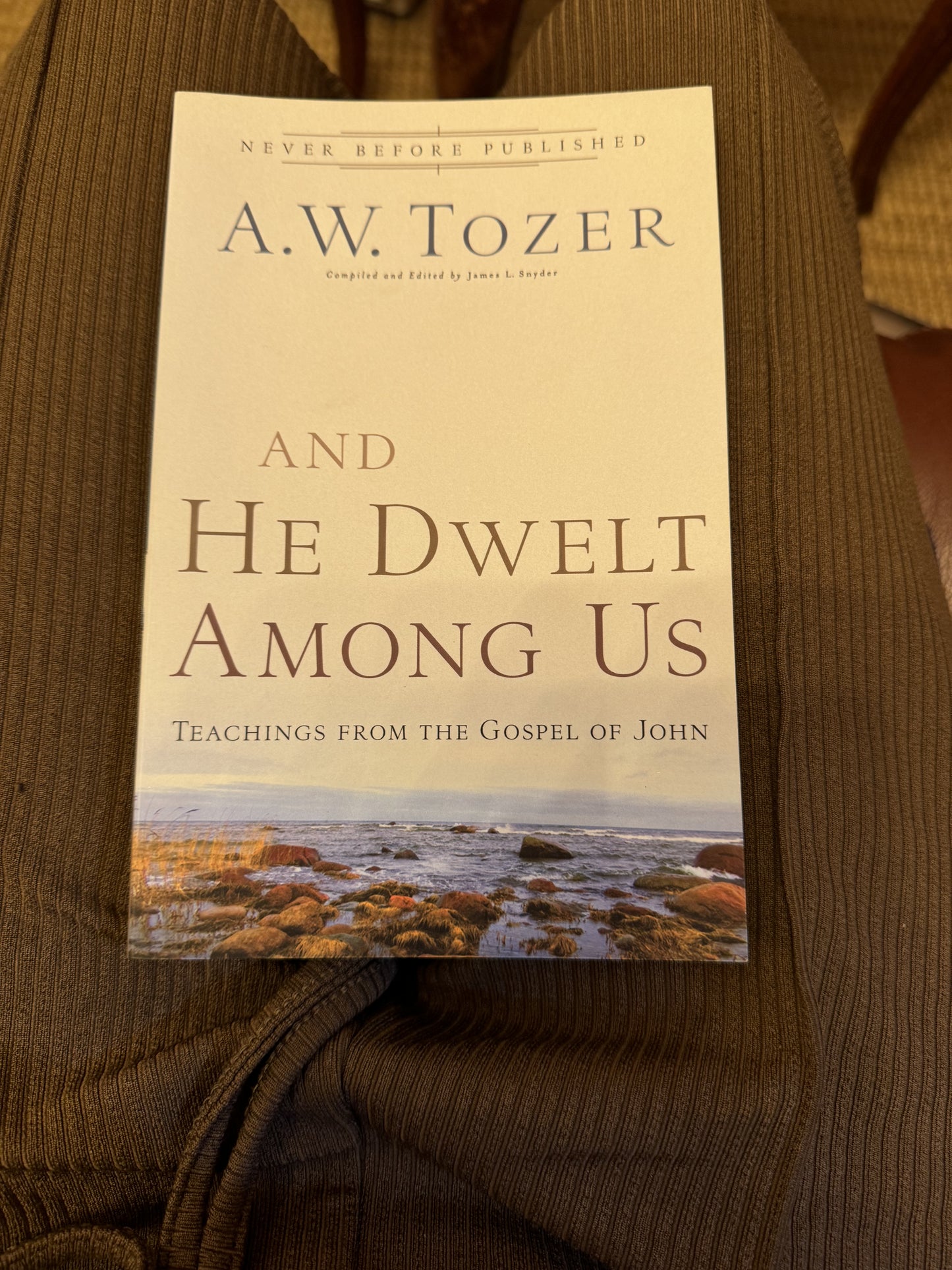 And He Dwelt Among Us: Teachings from the Gospel of John