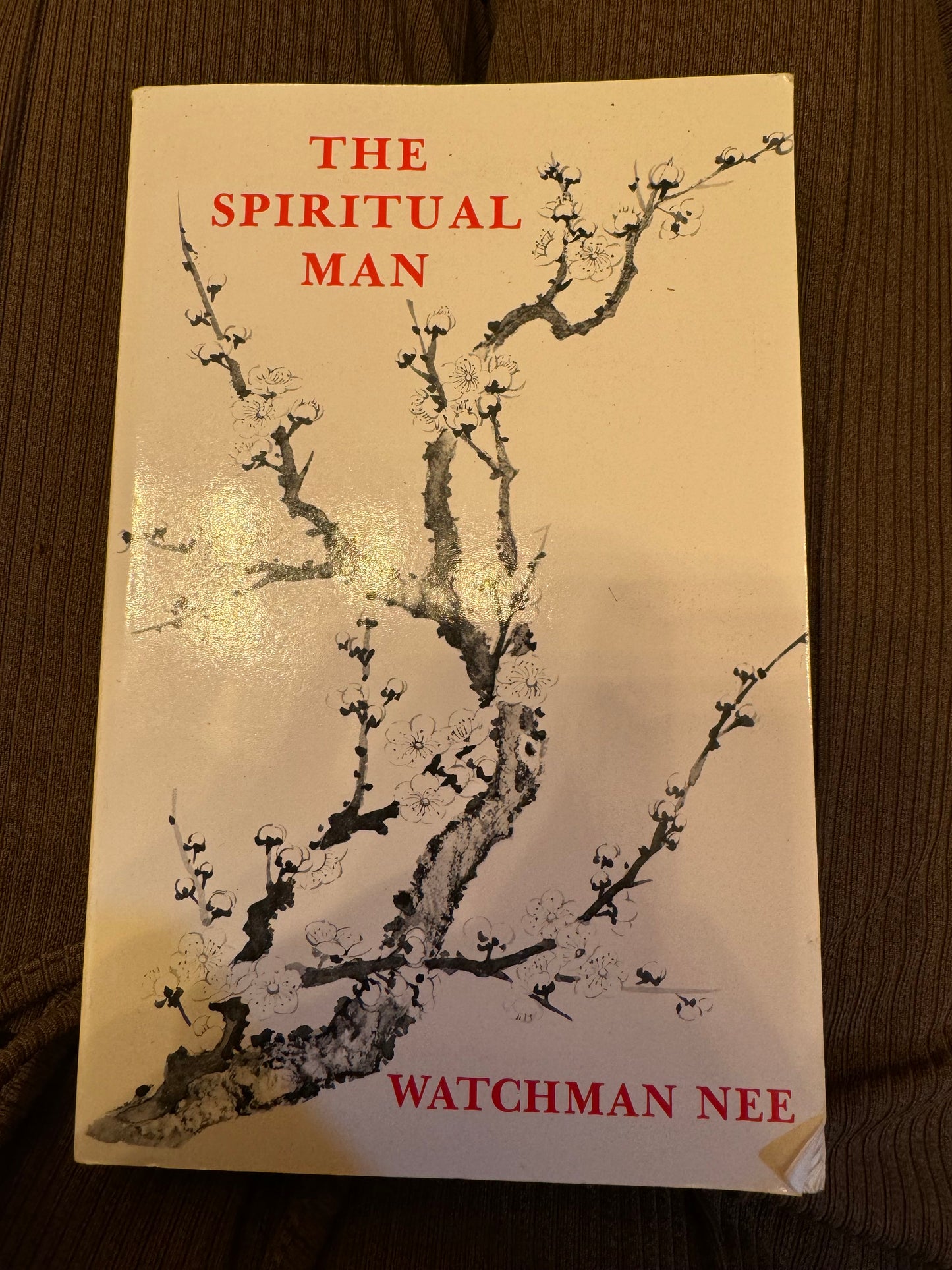 Spiritual Man, The