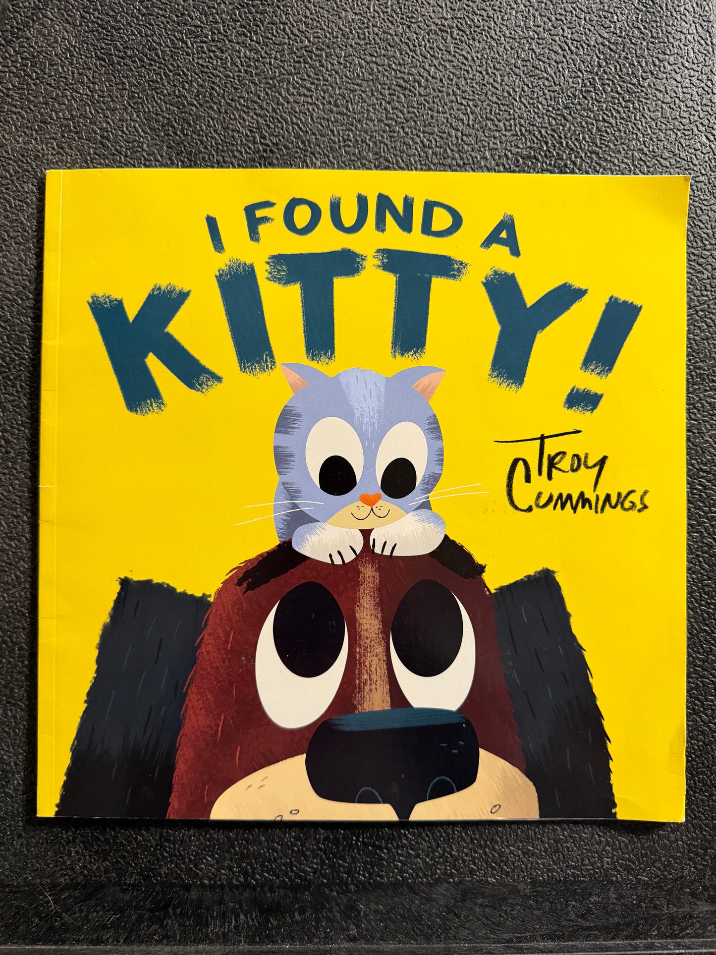 I Found A Kitty