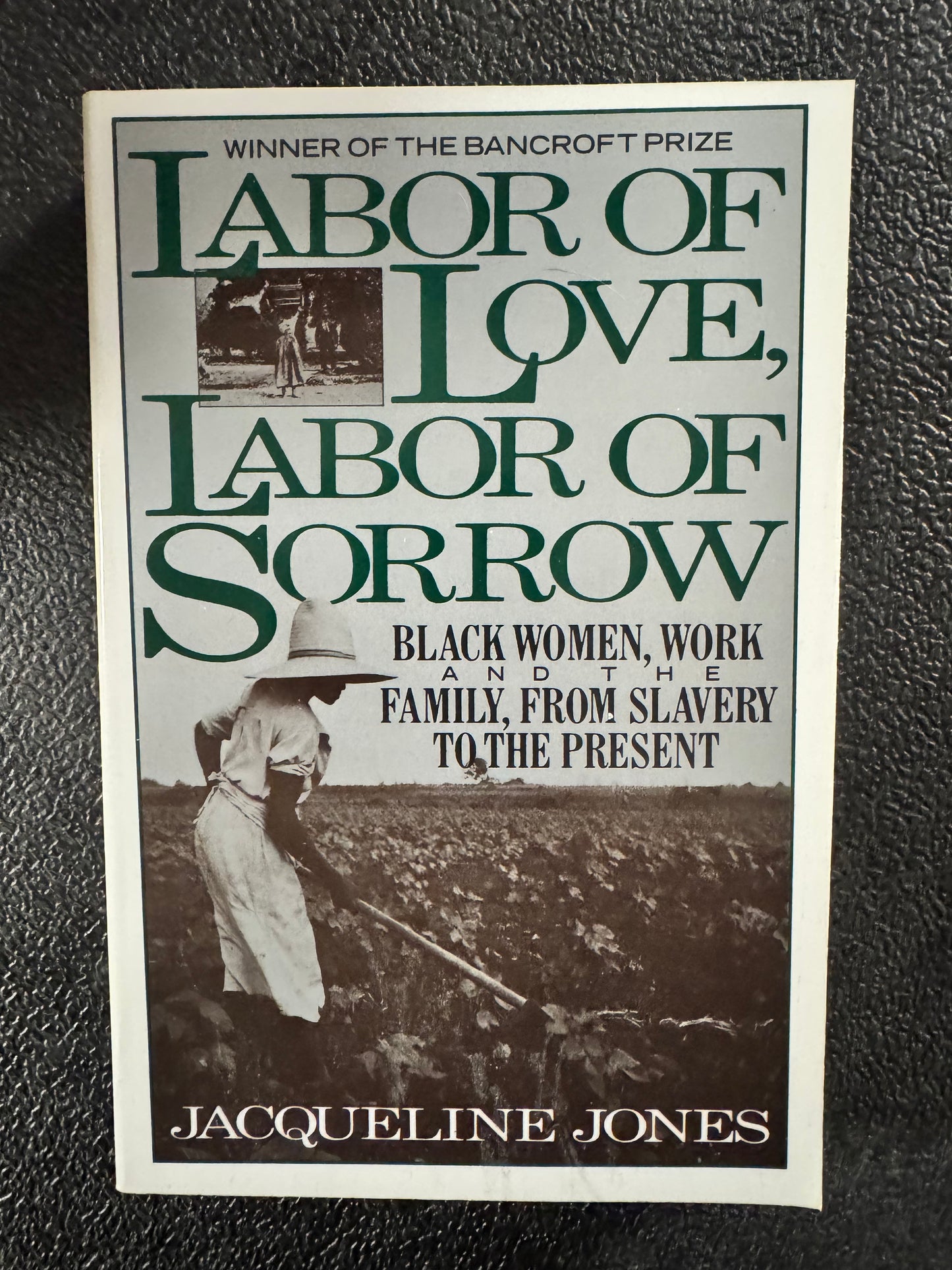 Labor of Love, Labor of Sorrow: Black Women, Work, and the Family, from Slavery to the Present
