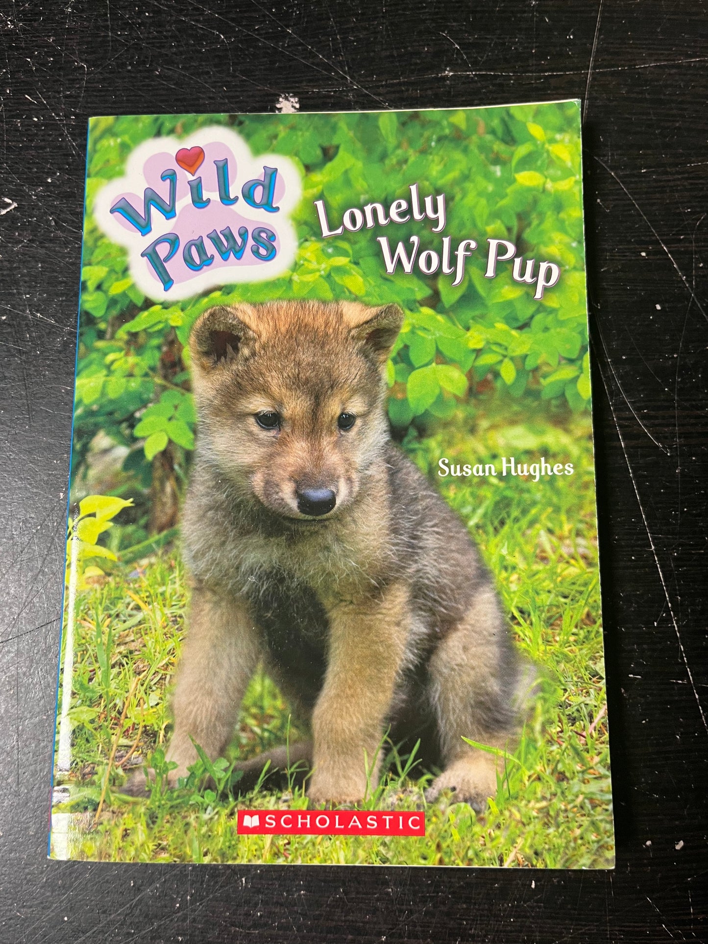 Wild Paws: Lonely Wolf Pup