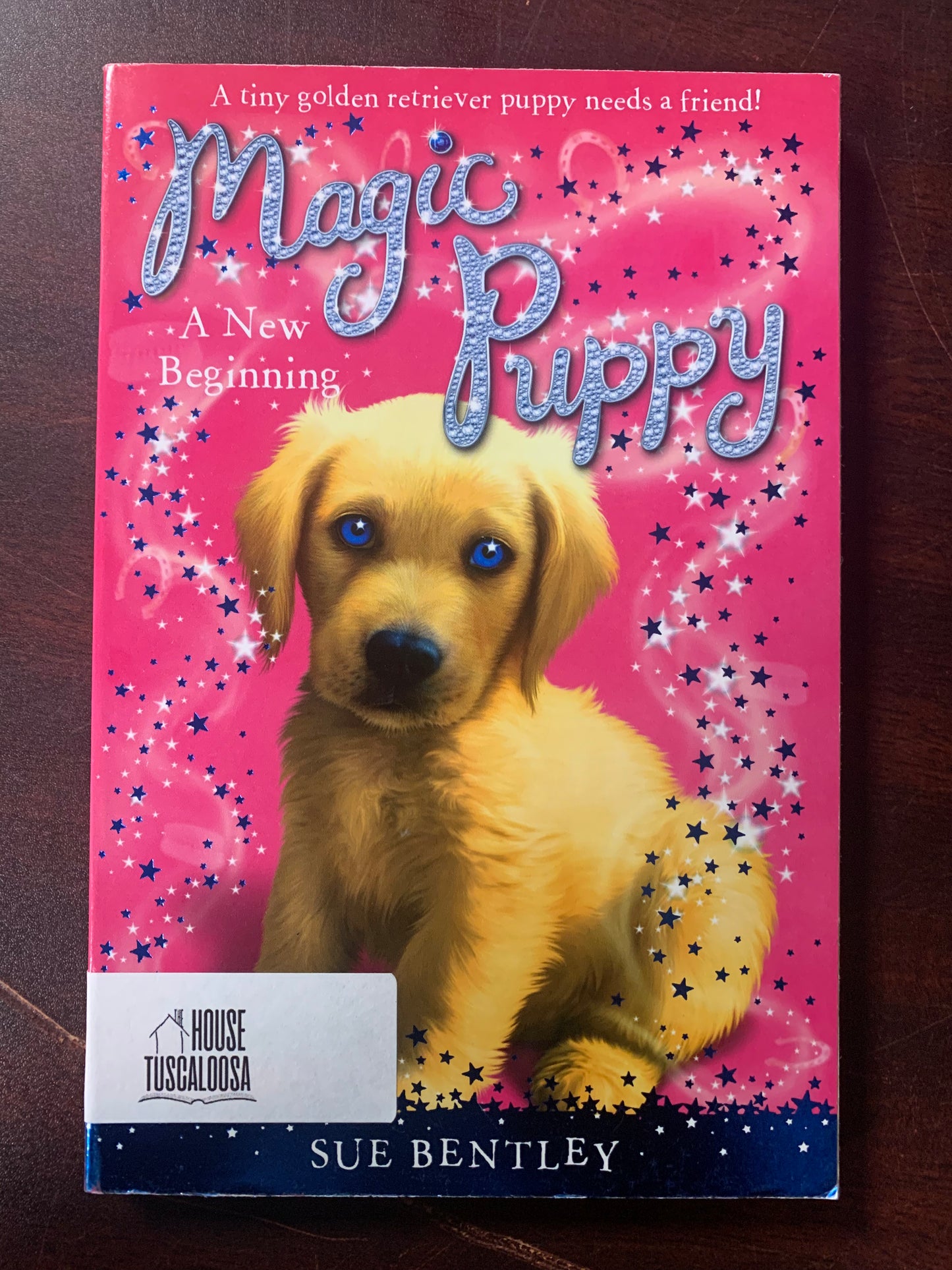 Magic Puppy: A New Beginning