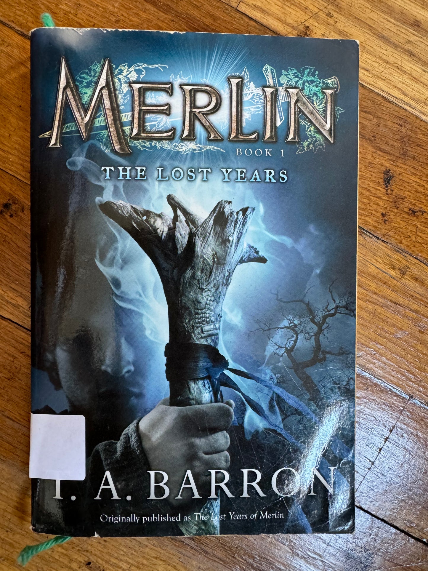 Lost Years: Book 1 (Merlin), The