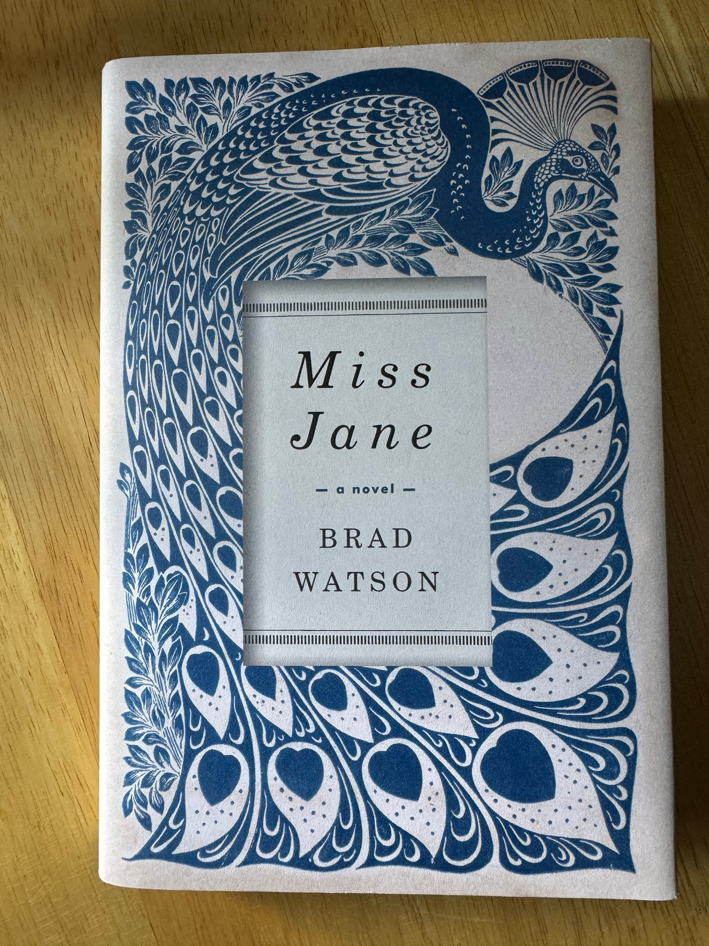 Miss Jane: A Novel