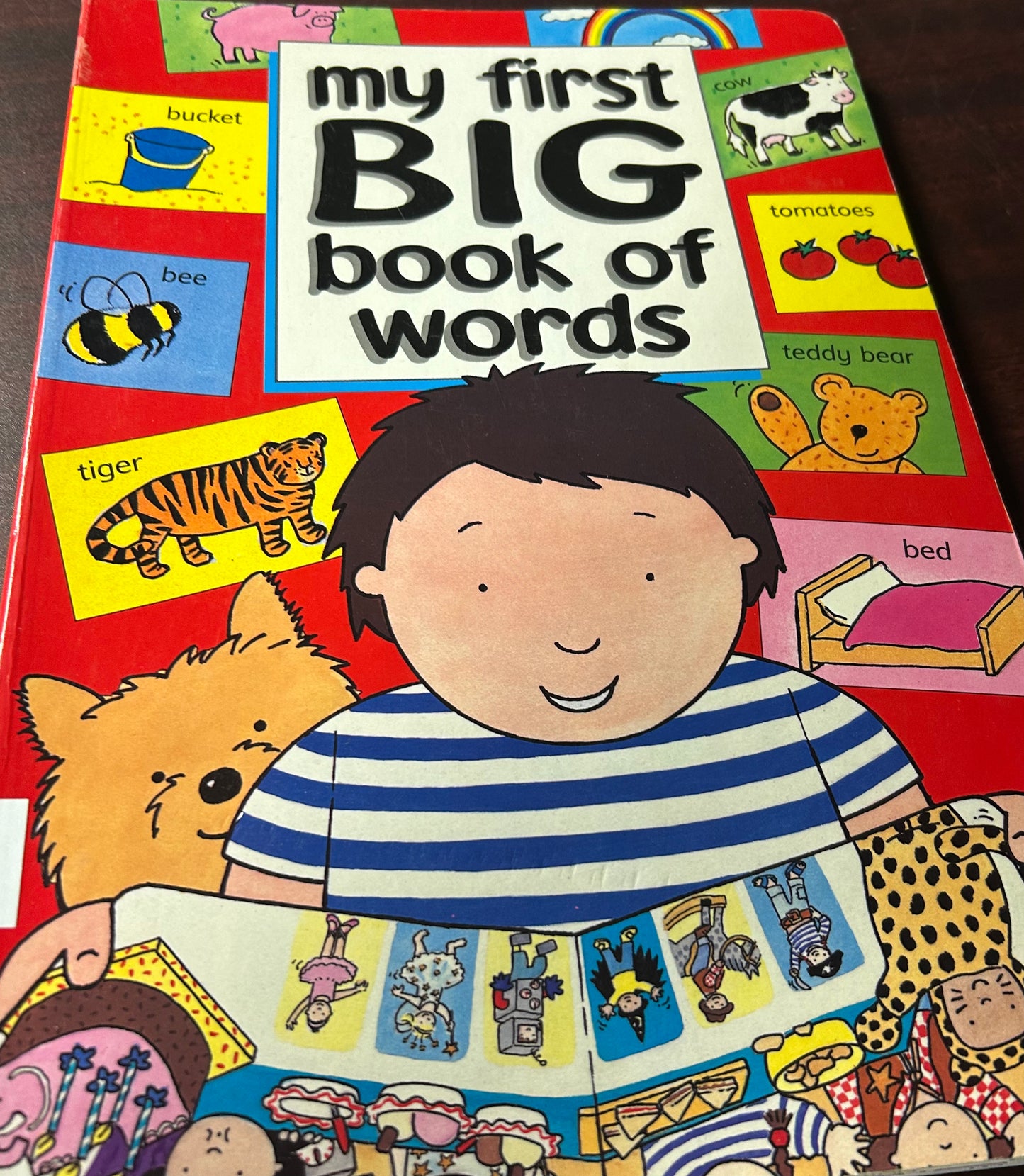 My first BIG book of words