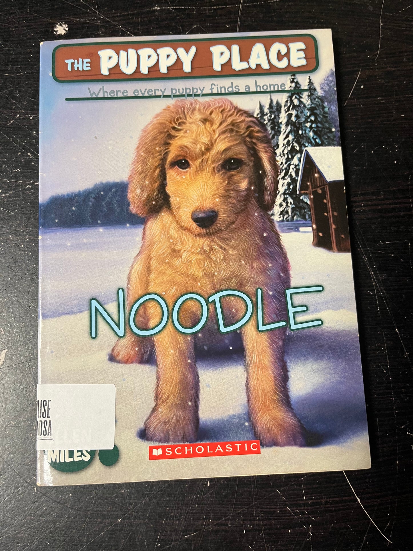 The Puppy Place: Noodle