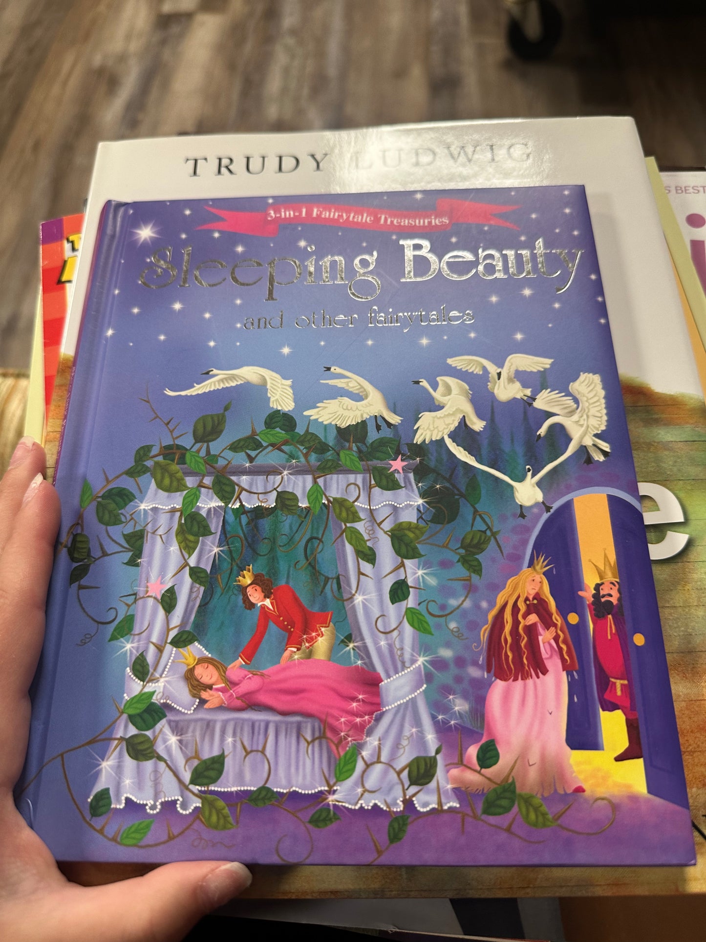 Sleeping Beauty and other fairytales