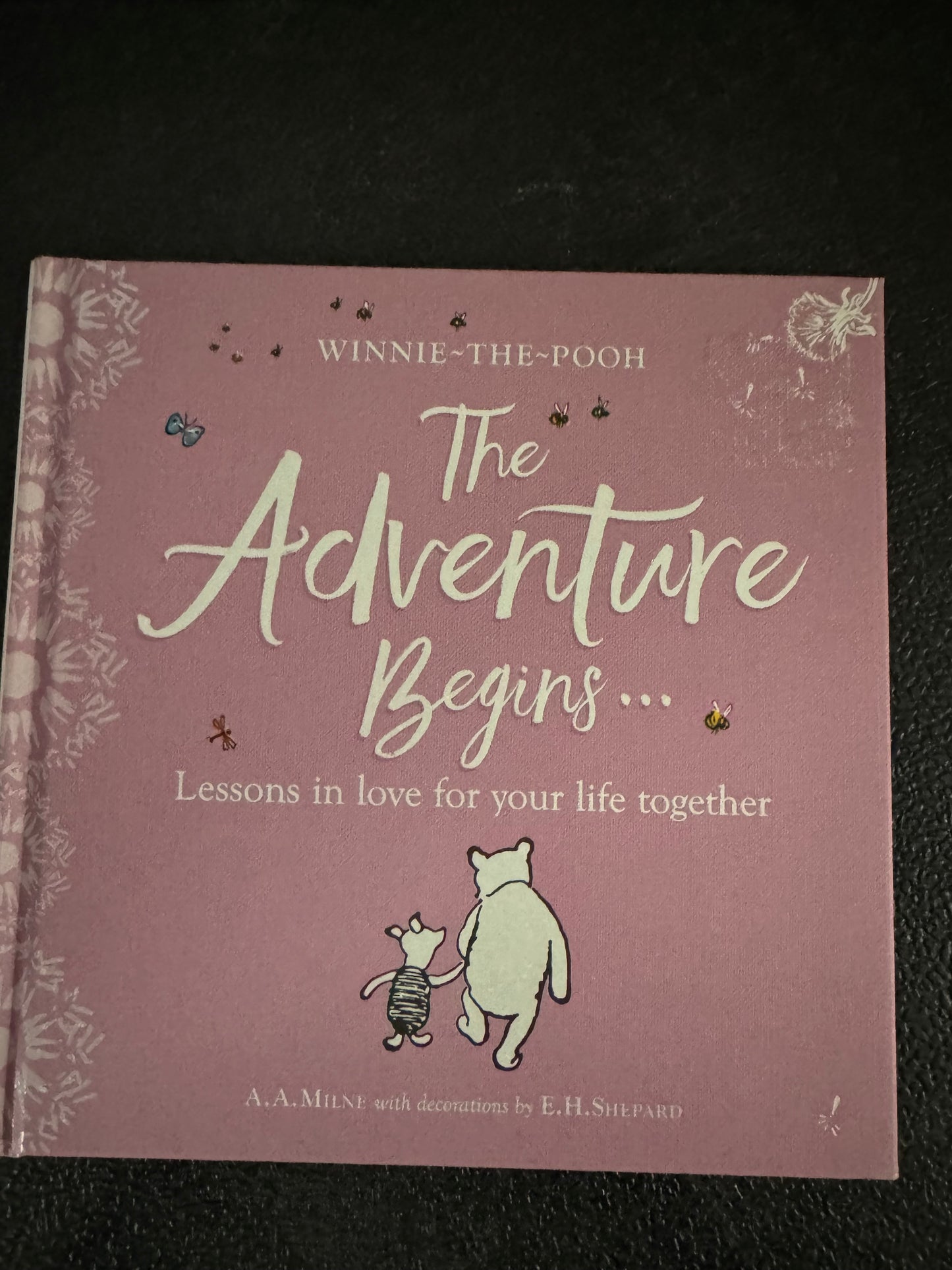 The Adventure Begins